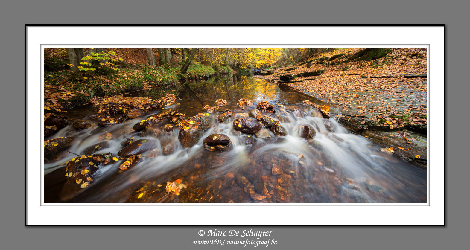 Canon TS-E 24.0mm f/3.5 L II sample photo. River hoëgne photography