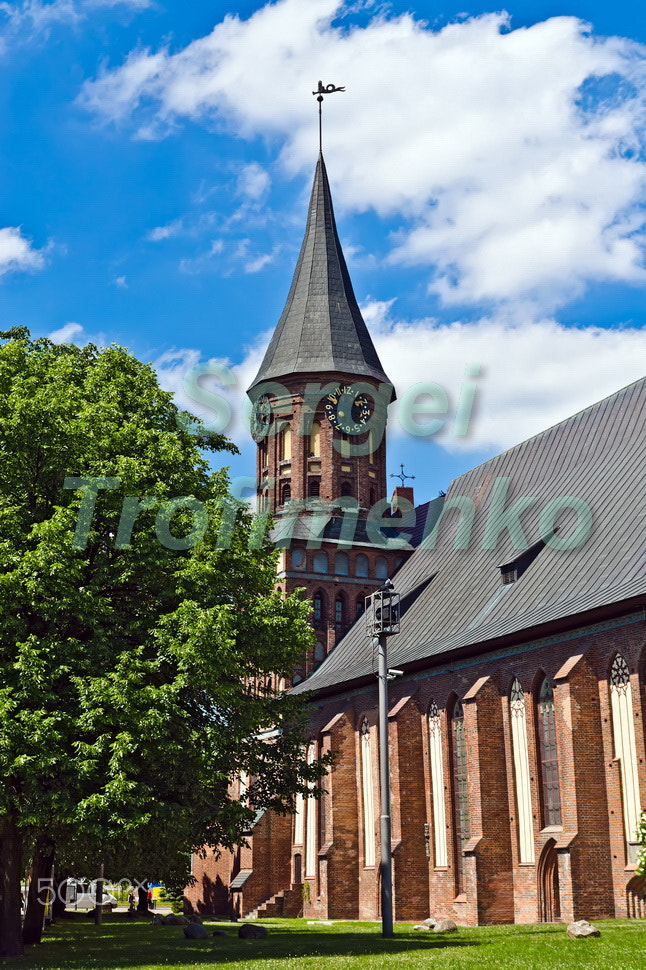 Nikon D5100 sample photo. Cathedral of koenigsberg, gothic 14th century. kaliningrad (koen photography