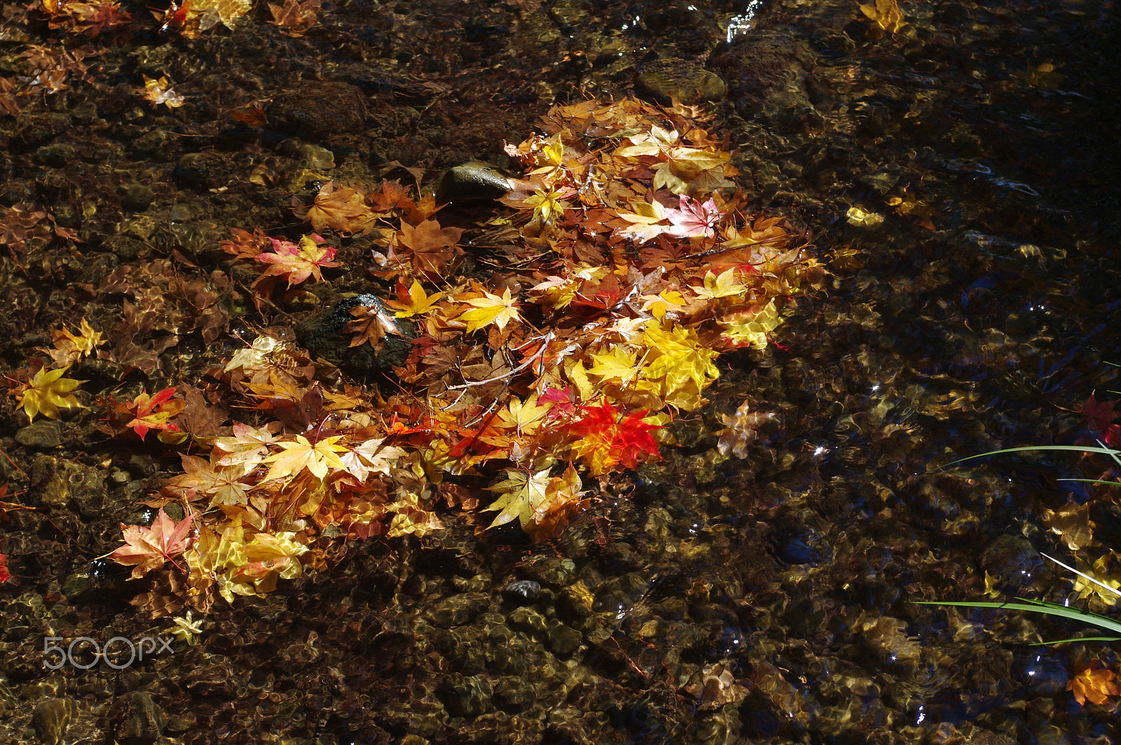smc PENTAX-DA L 18-55mm F3.5-5.6 sample photo. Fall in the water photography