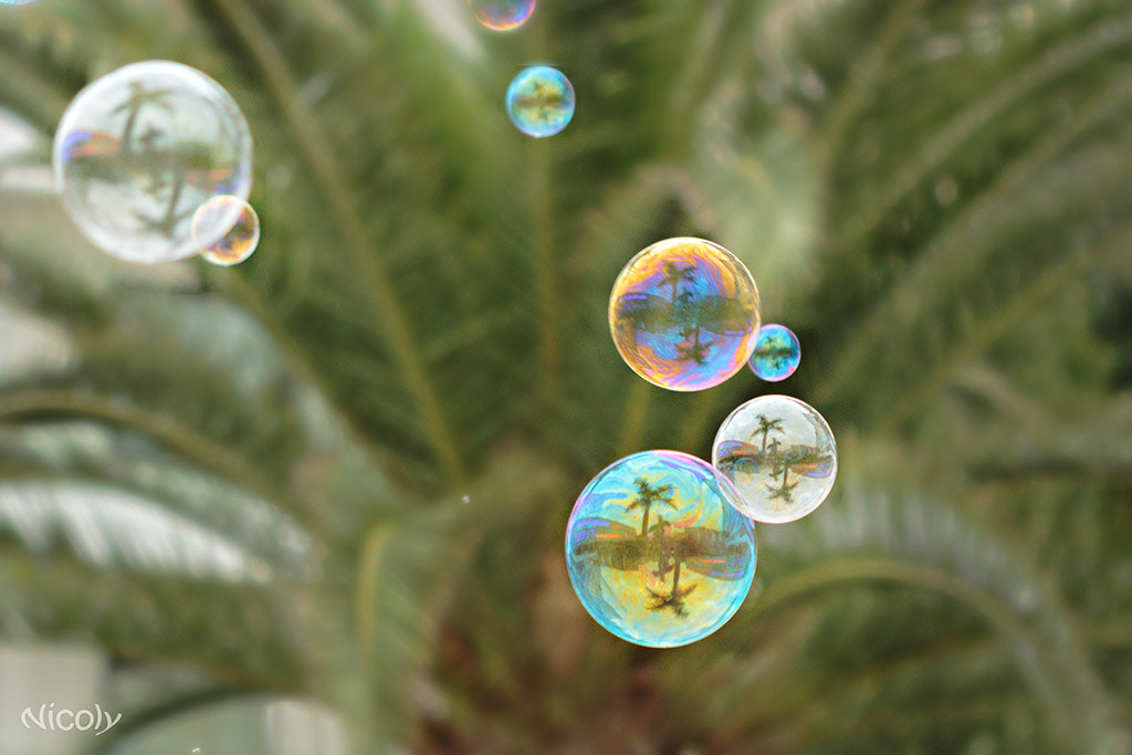 Canon EF 100mm F2.8 Macro USM sample photo. Bubbles photography