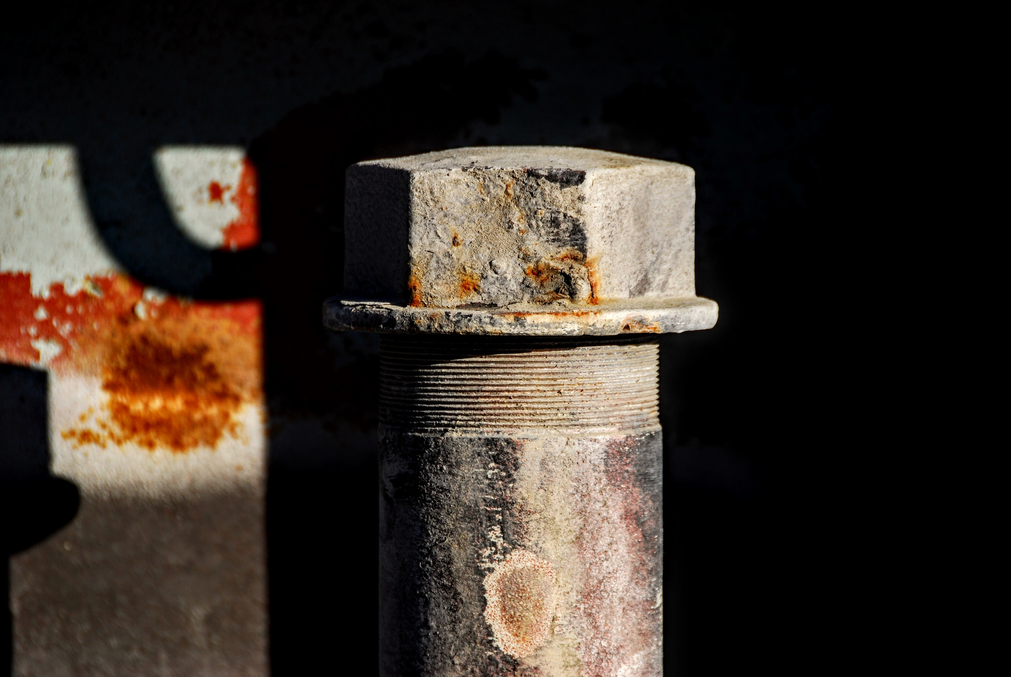 Nikon D40X sample photo. Screw photography
