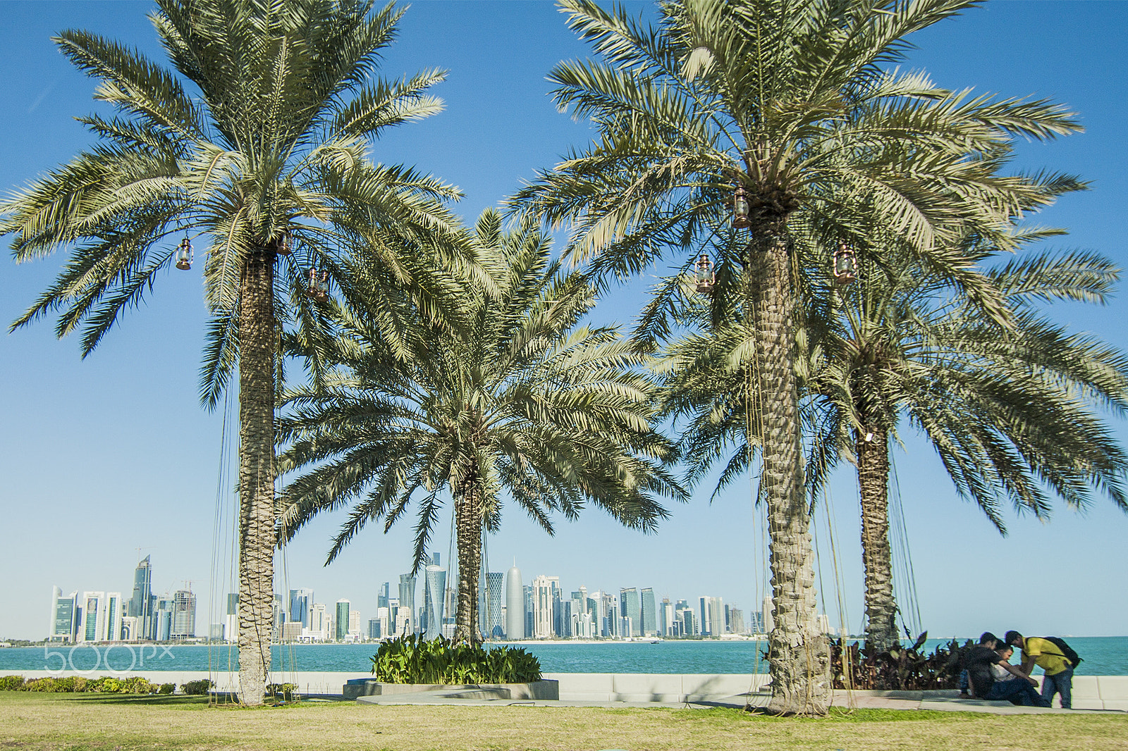 Canon EOS 40D sample photo. Qatar - doha 2/10 photography