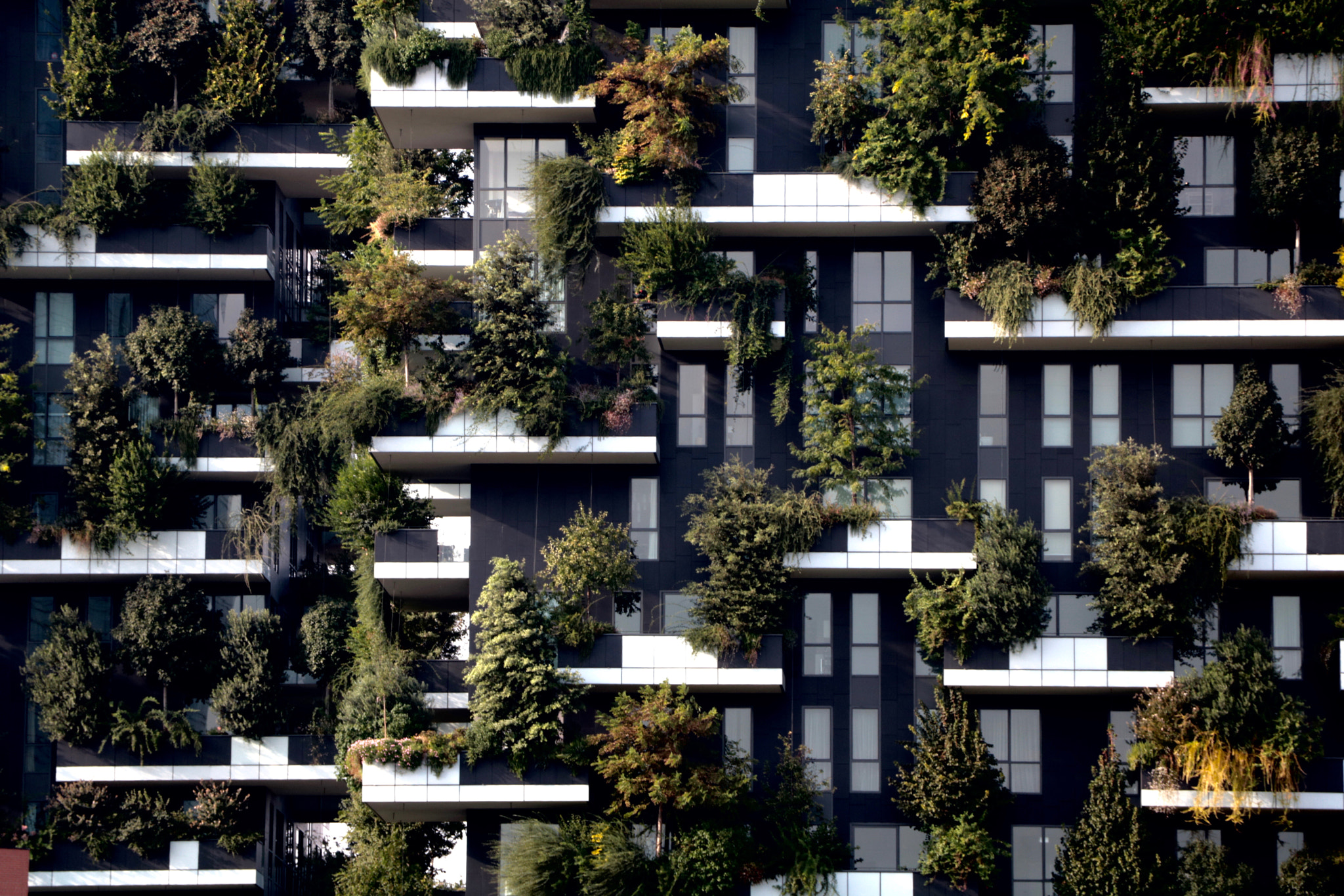 Canon EOS 760D (EOS Rebel T6s / EOS 8000D) sample photo. Bosco verticale photography