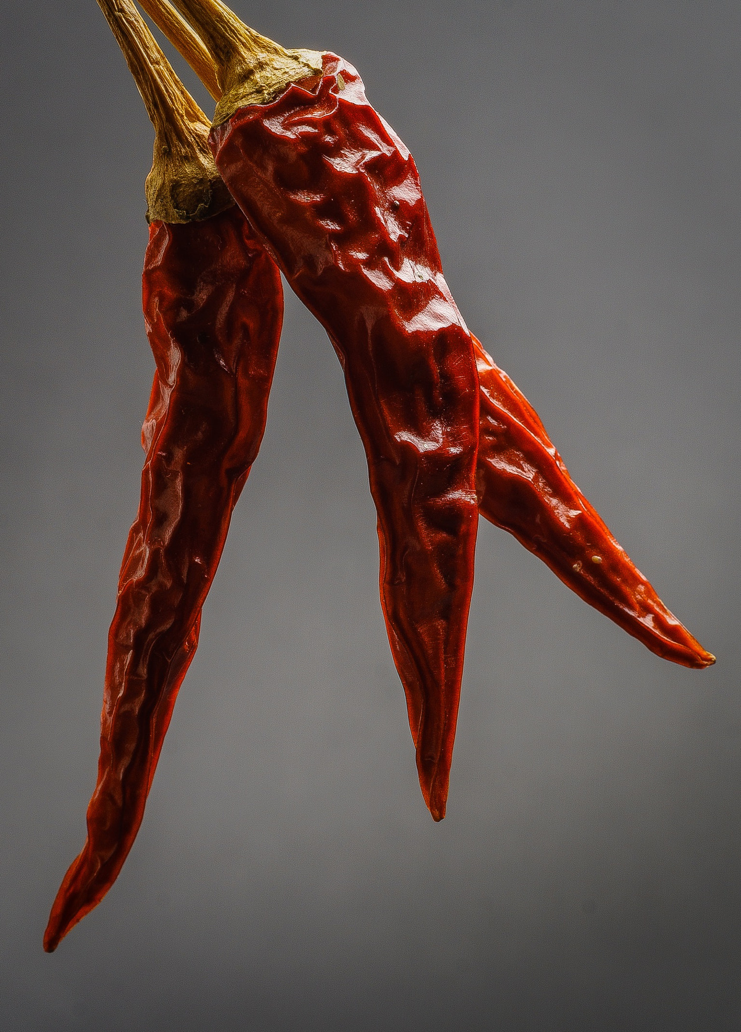 Sony FE 50mm F2.8 Macro sample photo. Chili photography