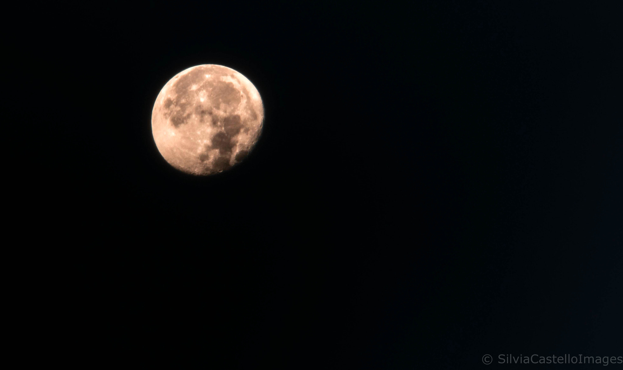 Nikon D5300 sample photo. Supermoon photography