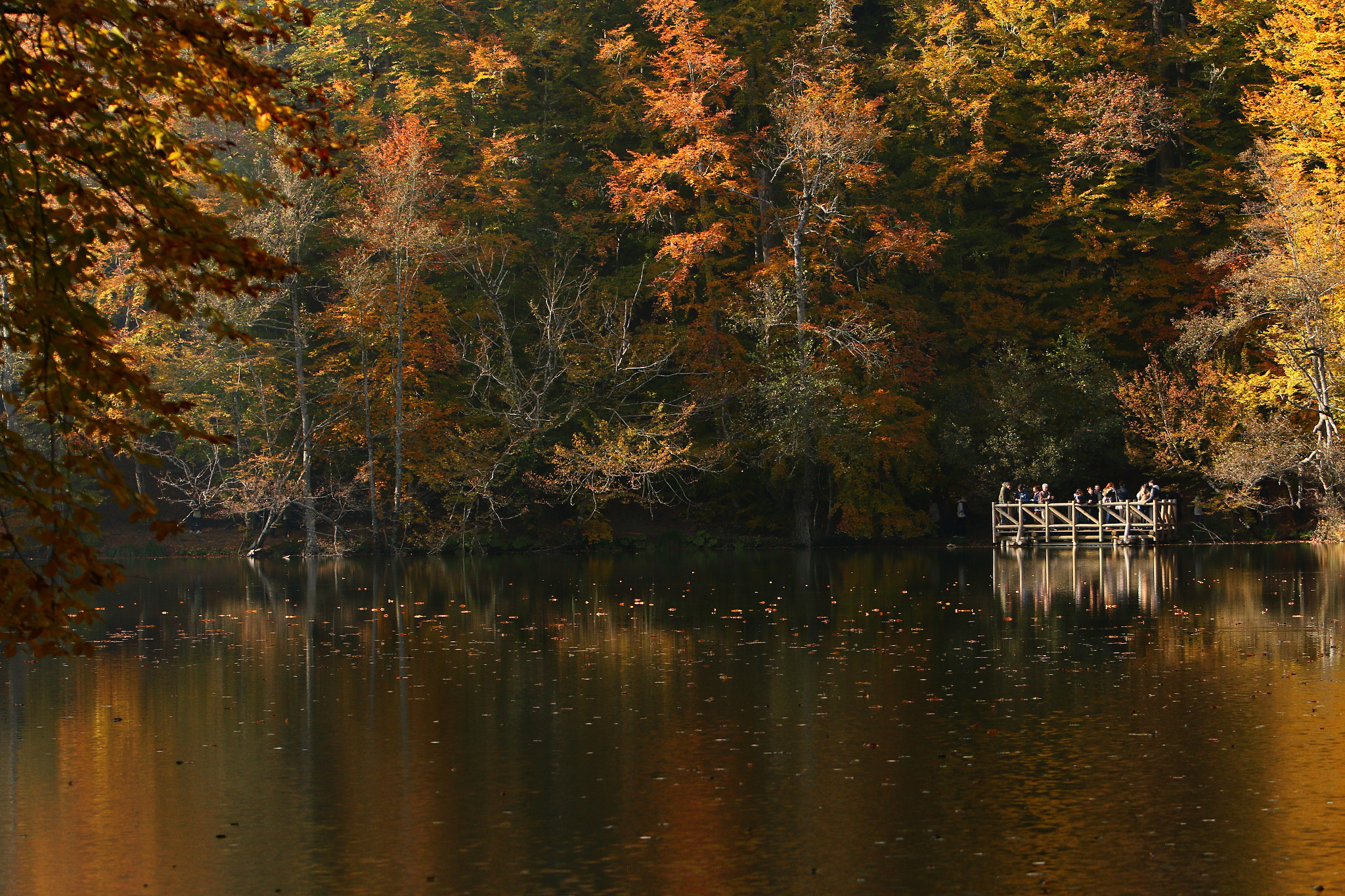 Canon EF 70-200mm F2.8L IS USM sample photo. Yedigoller photography