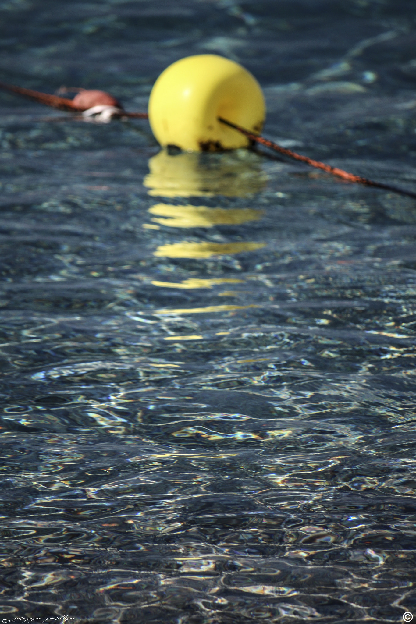 Canon EF-S 55-250mm F4-5.6 IS sample photo. Mare photography