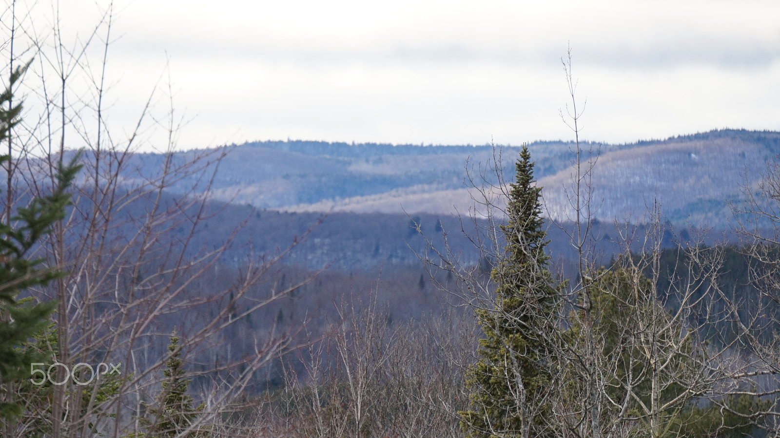 Sony E 55-210mm F4.5-6.3 OSS sample photo. Haut du lac st-tite photography
