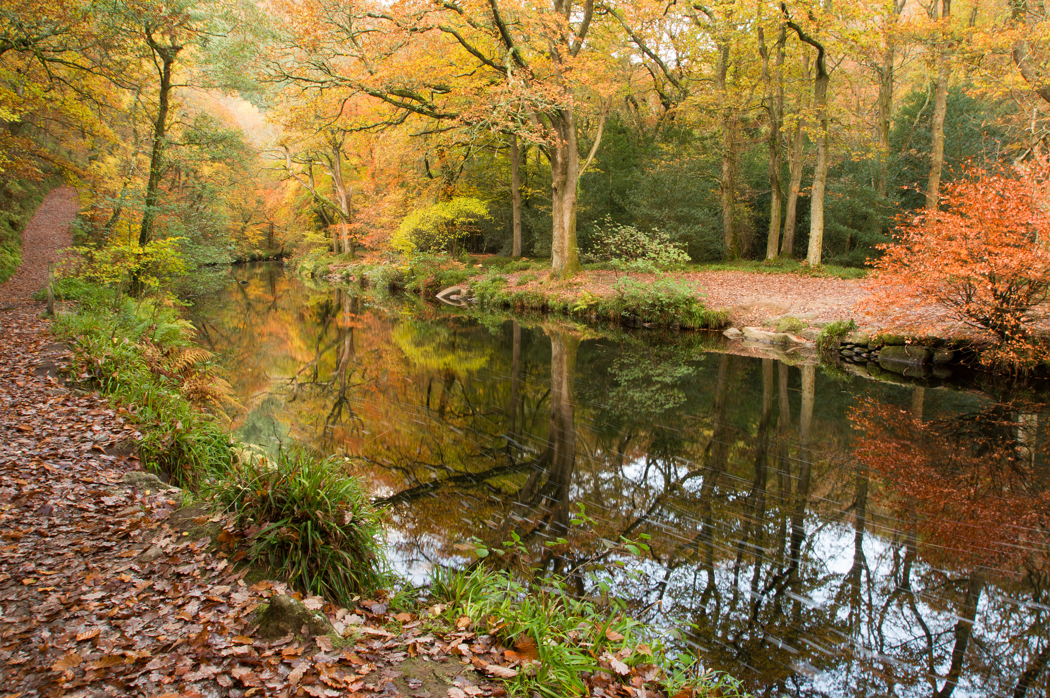 Nikon D3200 sample photo. Turn of the seasons photography