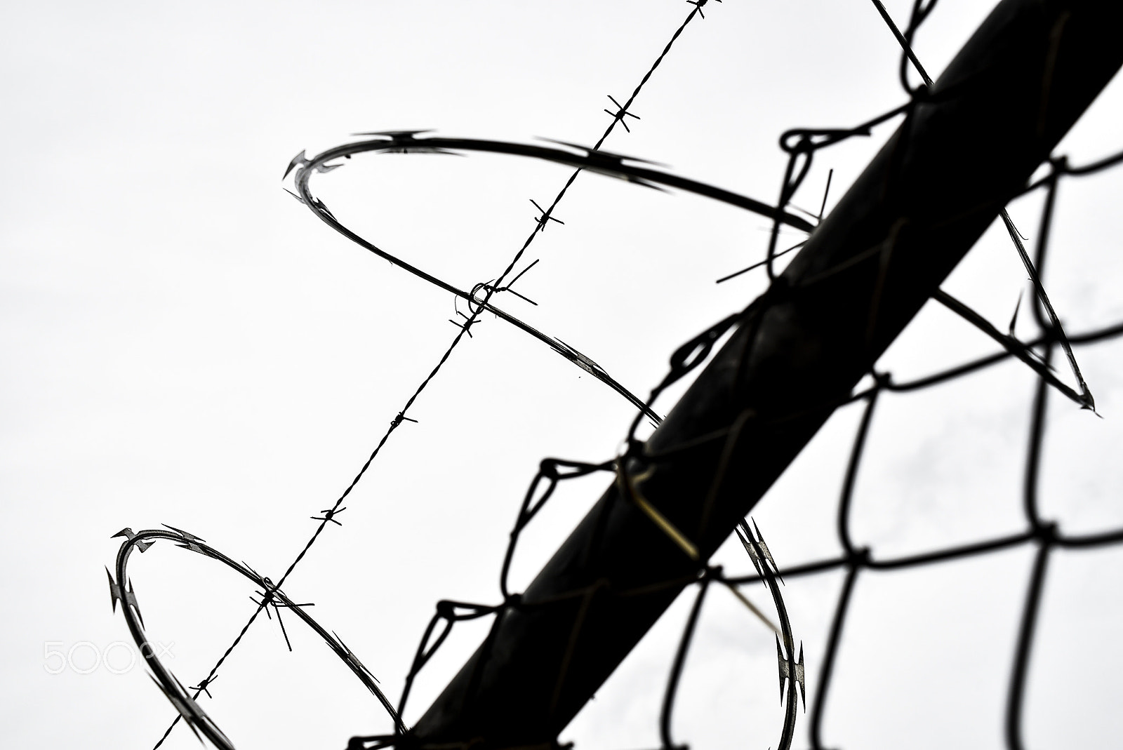 Nikon D750 + Nikon AF Nikkor 35mm F2D sample photo. Barbed wire photography