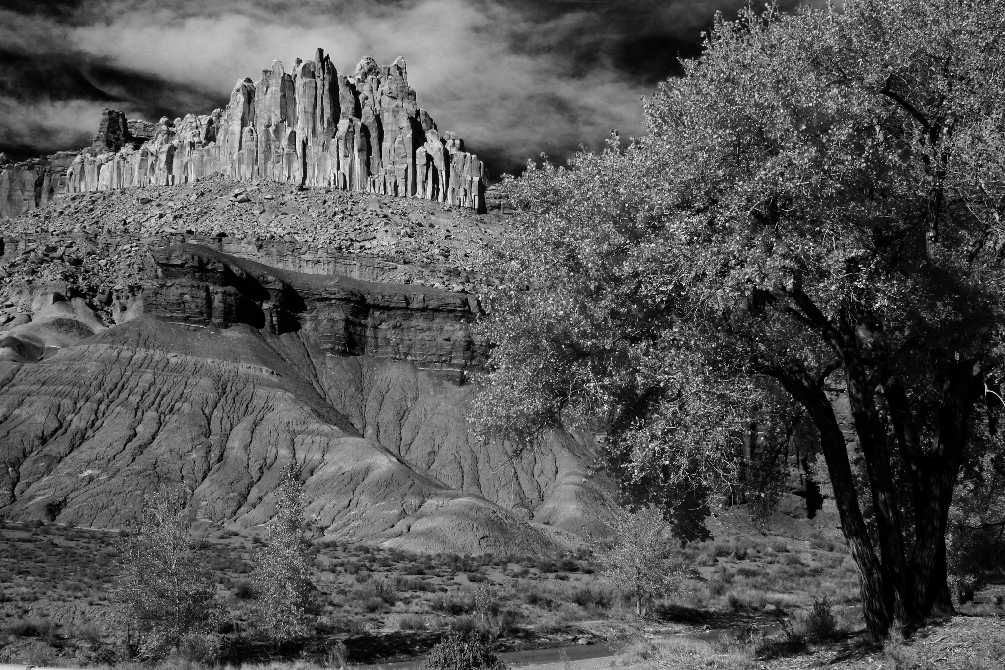 Canon EF 28-90mm f/4-5.6 sample photo. Rock & tree photography