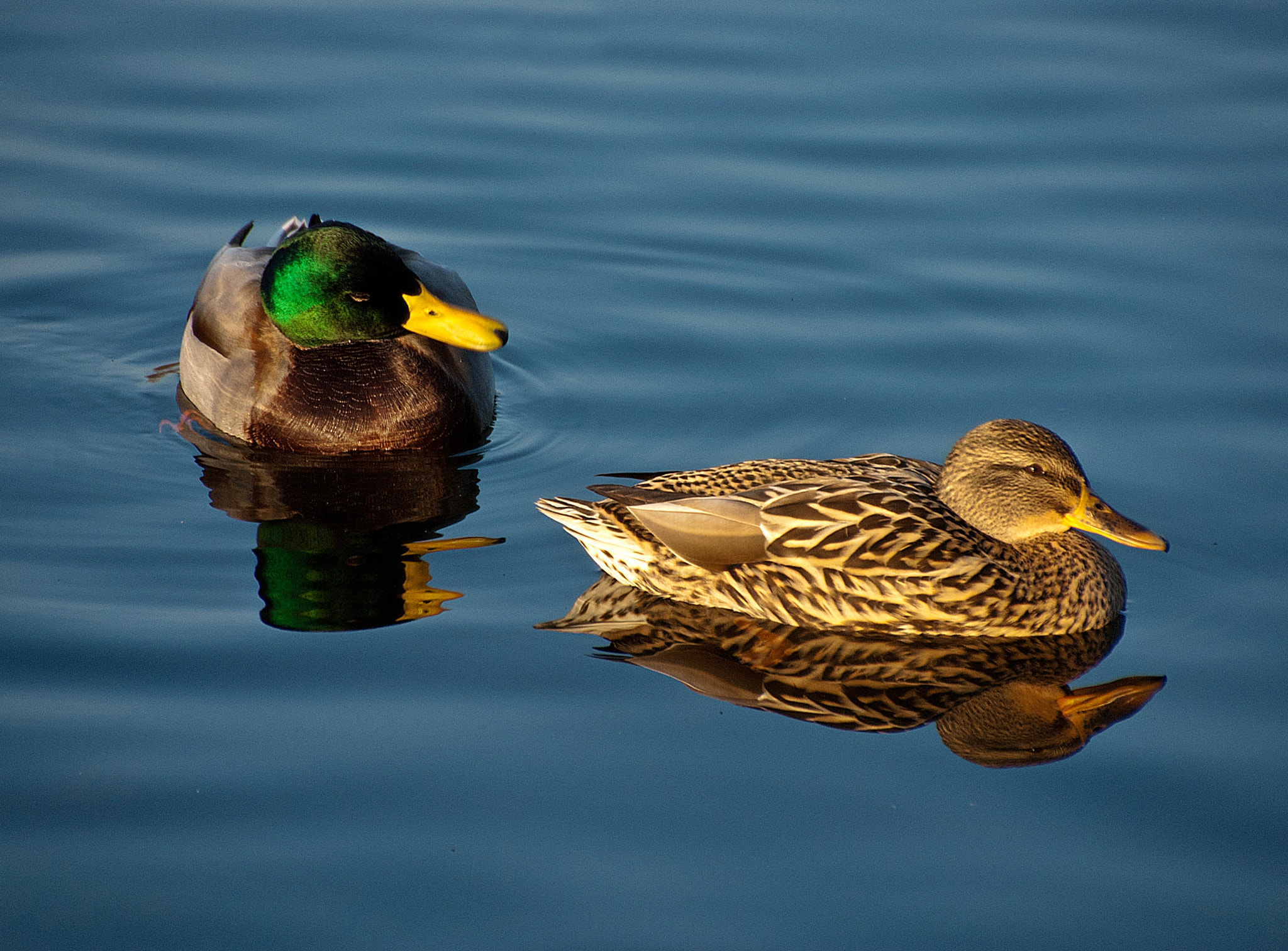 Sony Alpha DSLR-A300 sample photo. Pogoda na jeziorze photography