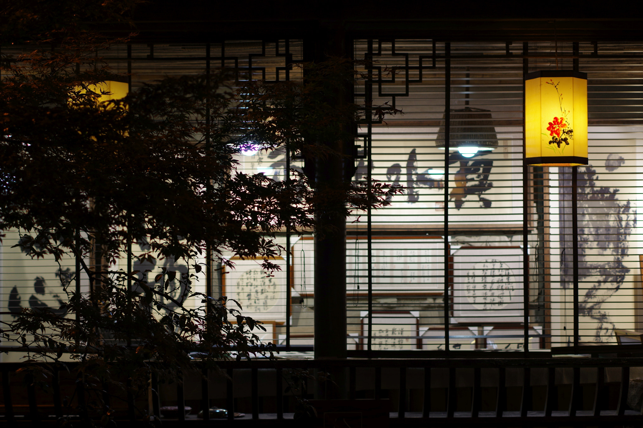 Pentax K-3 + Pentax smc DA 50mm F1.8 sample photo. Ombres de cal·ligrafia photography