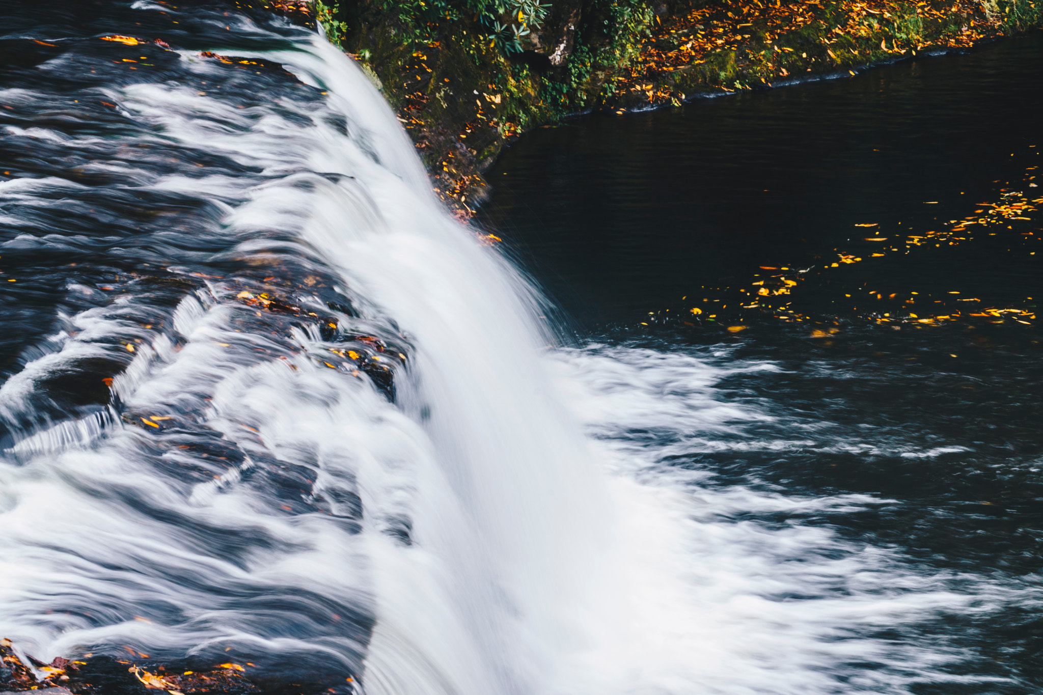 Sony a5100 sample photo. Last drops of autumn down the stream photography
