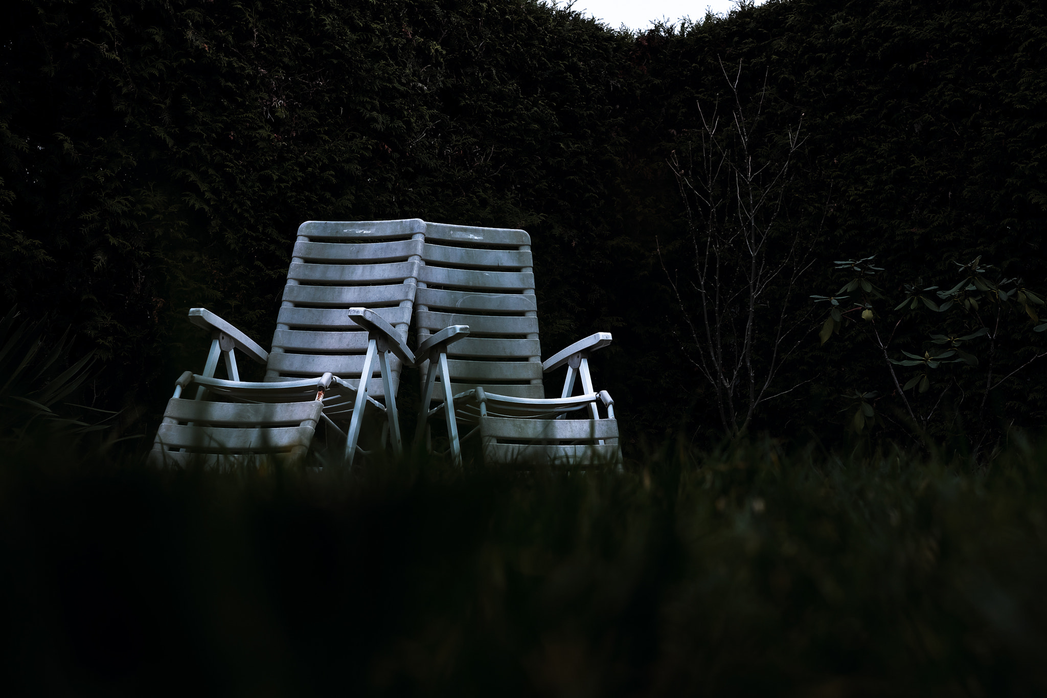 Fujifilm X-T1 + Fujifilm XF 27mm F2.8 sample photo. I'll stand by your side photography