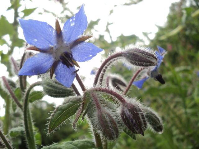 Sony DSC-S2100 sample photo. () photography