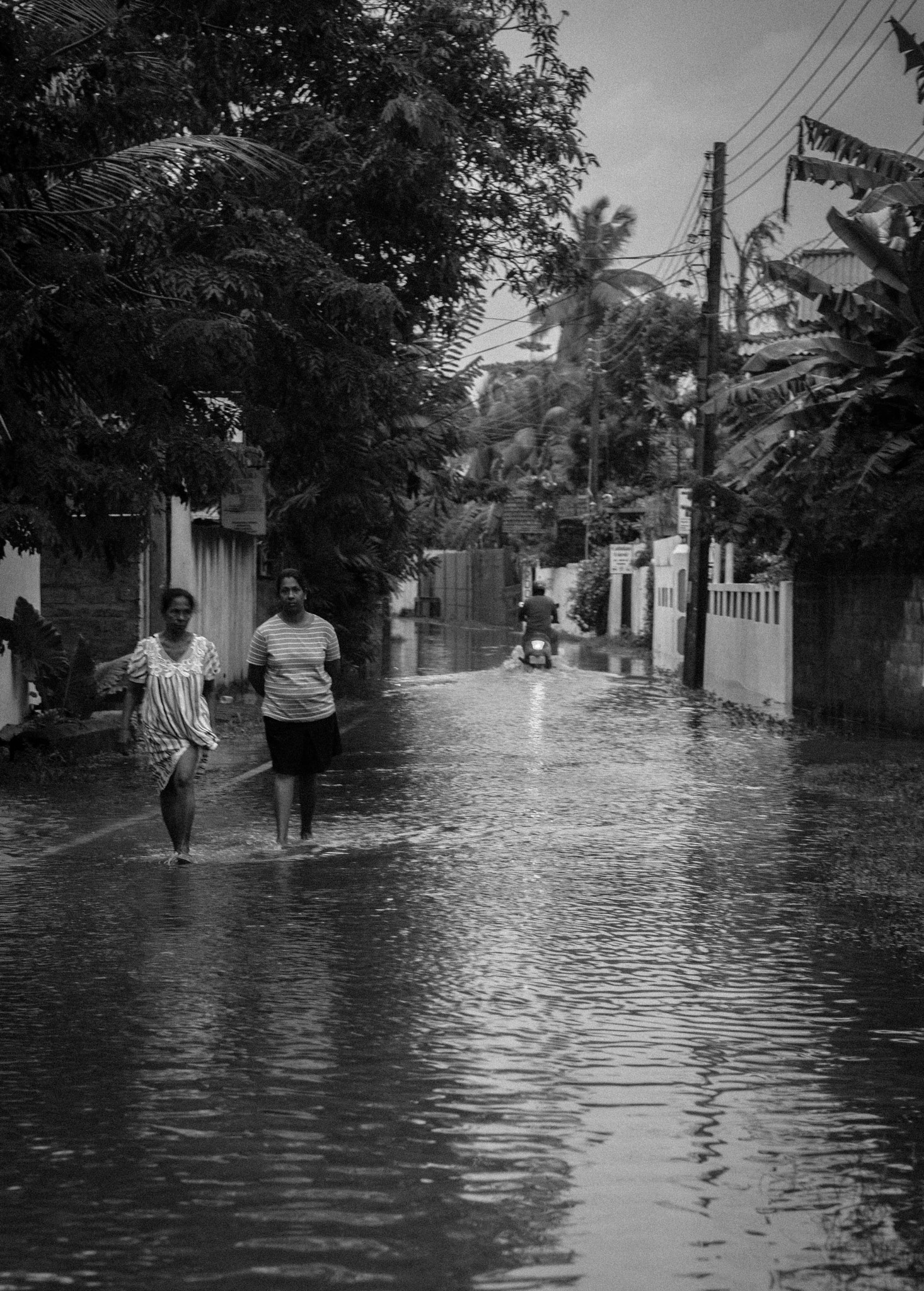 Sony Alpha NEX-5R sample photo. The sadness of tropics? just rainy day in mirissa photography