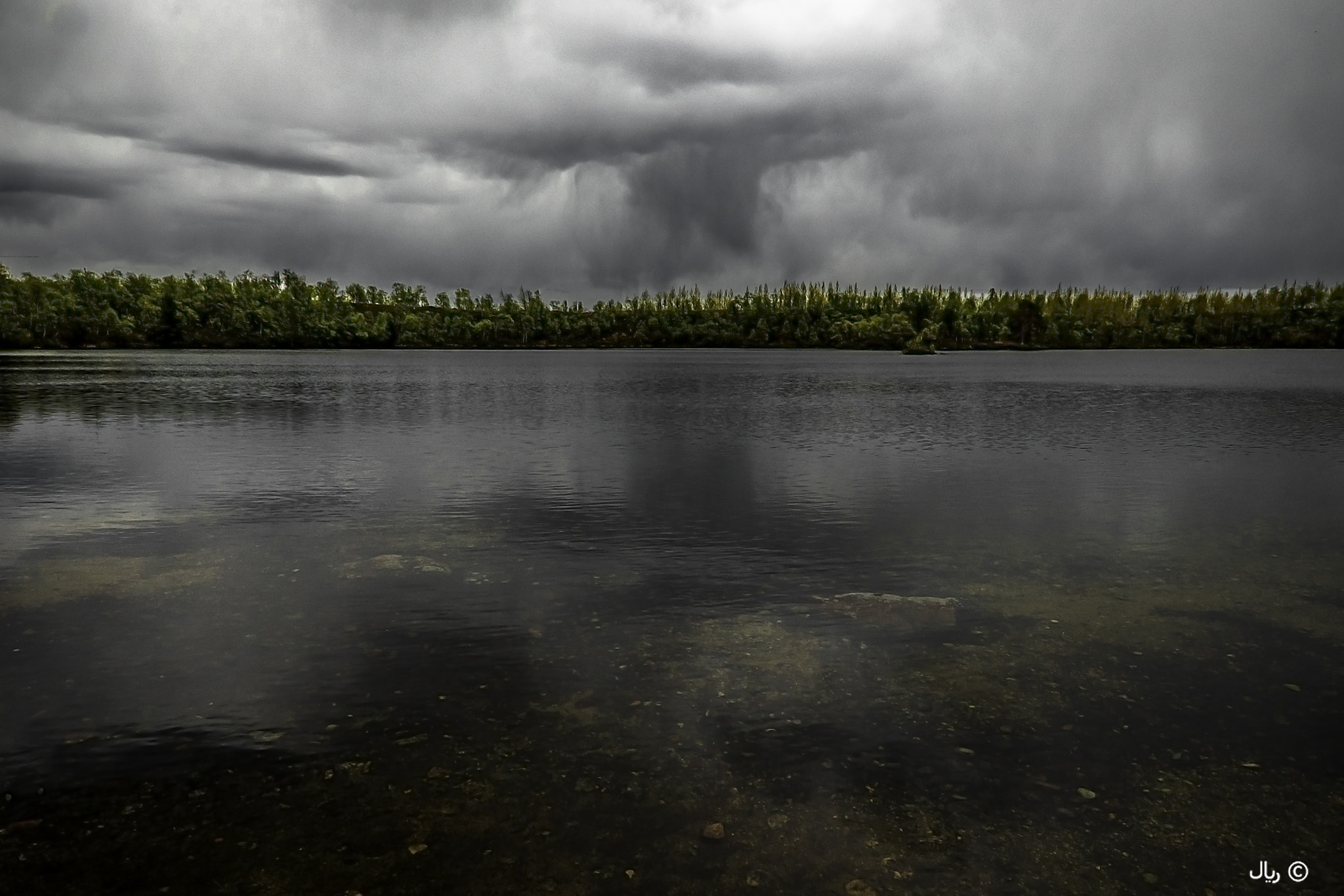 Nikon D810 sample photo. Lake, forest and clouds photography