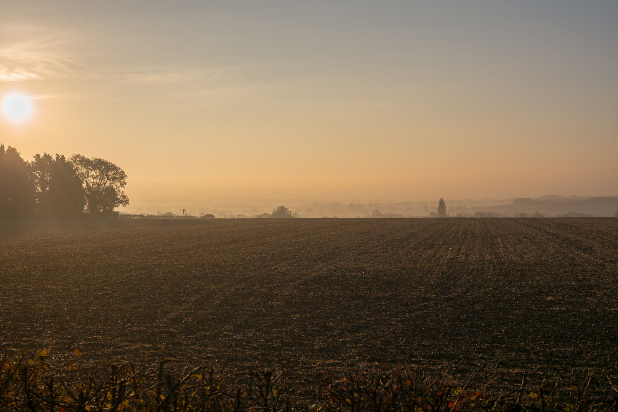 Leica APO-Summicron-M 50mm F2 ASPH sample photo. Dawn over the fields at madingley photography