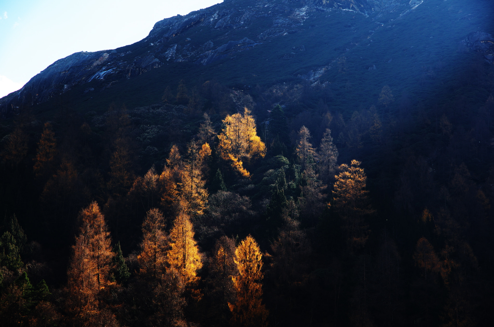 Pentax K-5 IIs sample photo. 无题 photography