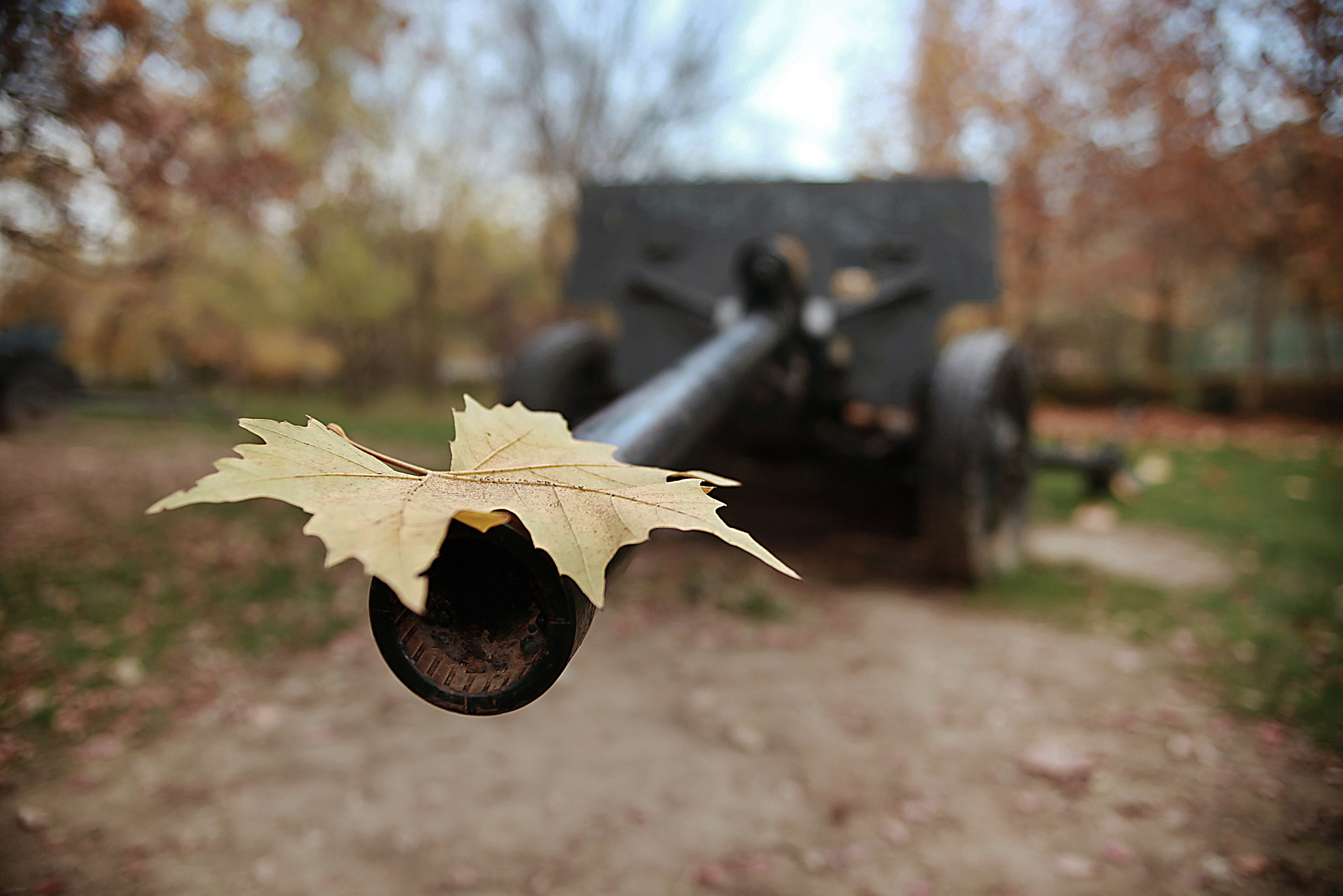 EF28-70mm f/2.8L USM sample photo. A photography