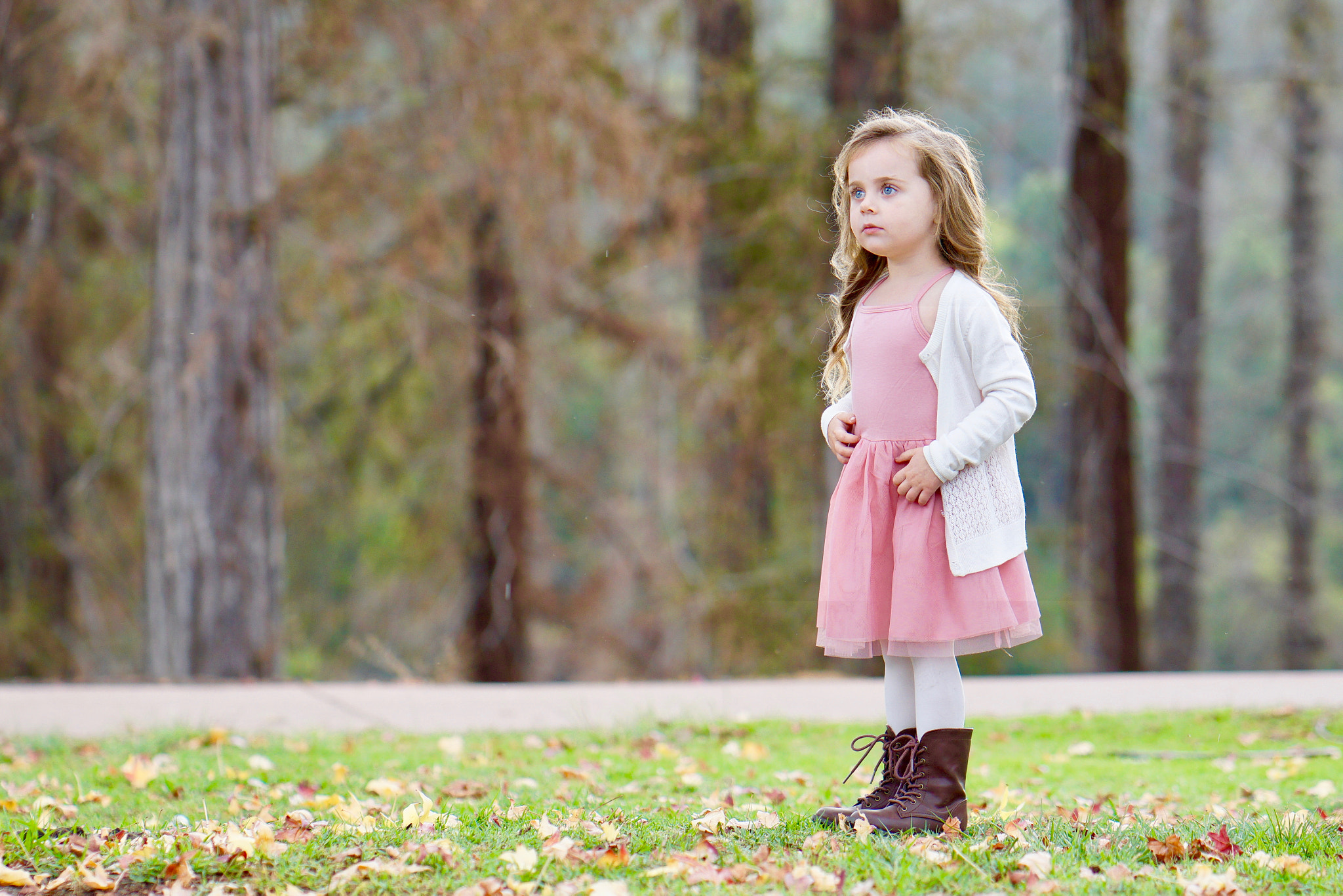 ZEISS Batis 85mm F1.8 sample photo. Dsc07083.jpg photography