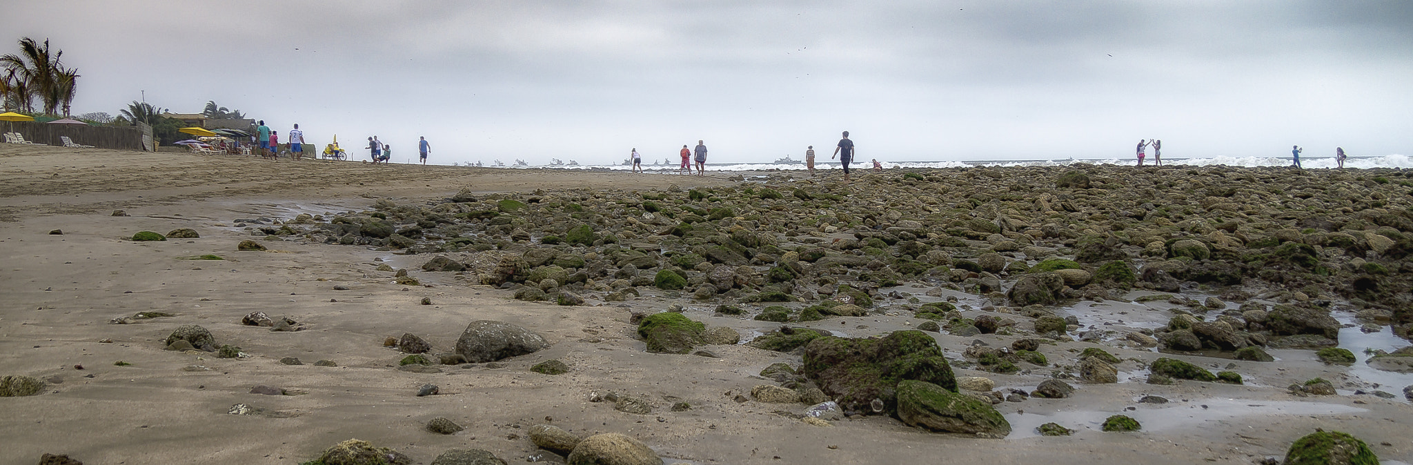 Sony SLT-A37 sample photo. Low tide photography