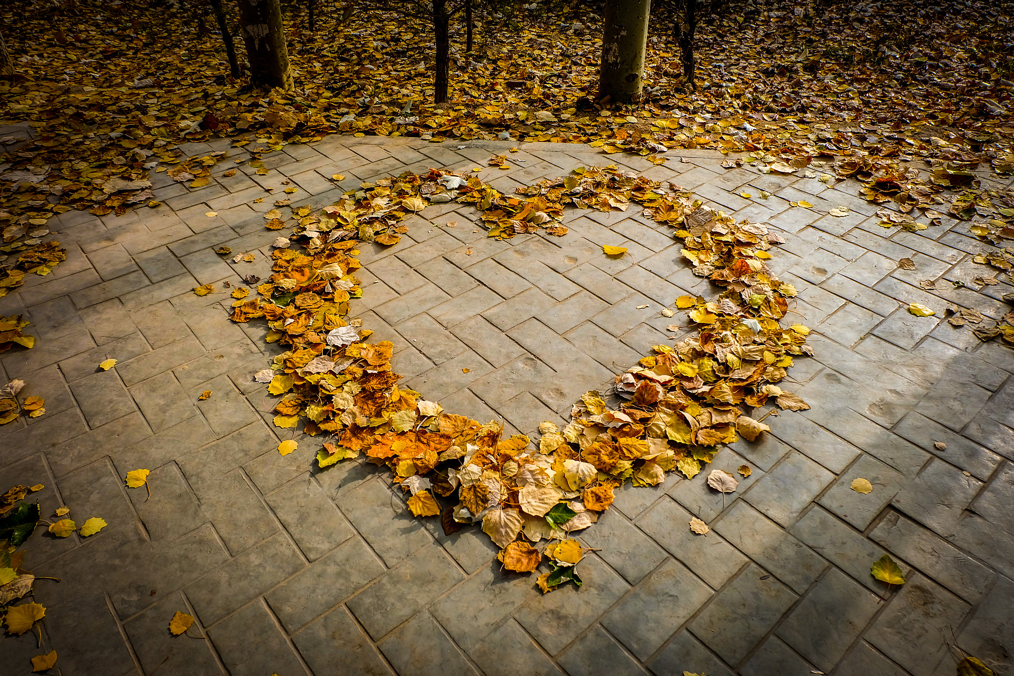 Fujifilm X-A1 sample photo. A big heart photography