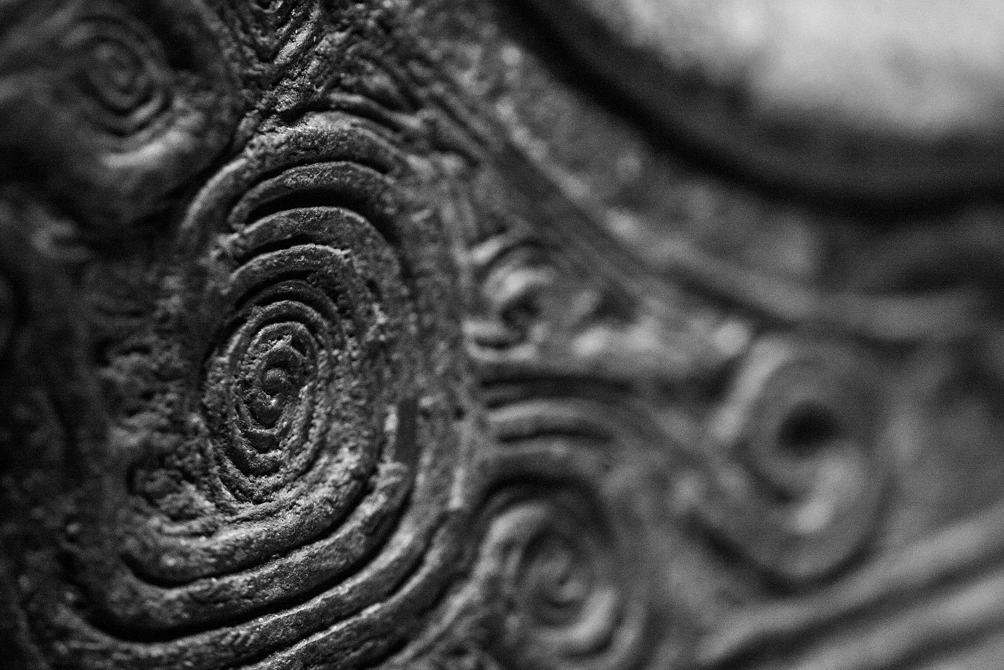 Canon EF 180mm F3.5L Macro USM sample photo