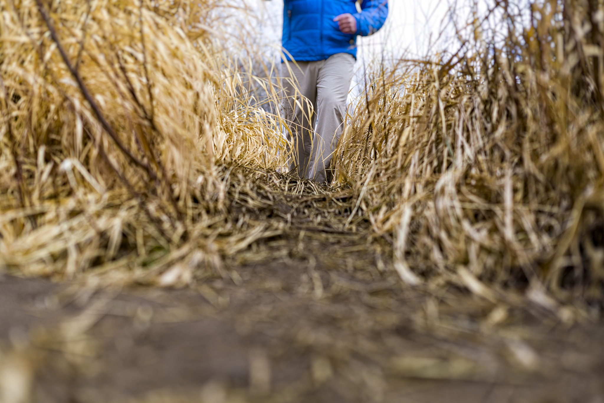 Sony a7R II sample photo. Trail hiking and running outdoor recreation photography