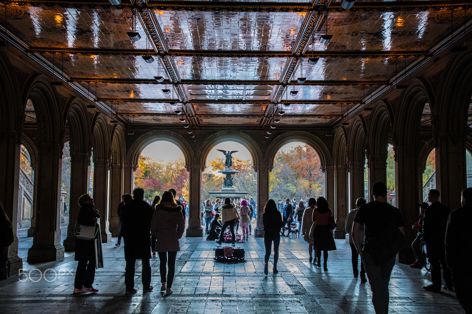 Nikon D500 sample photo. Central park photography