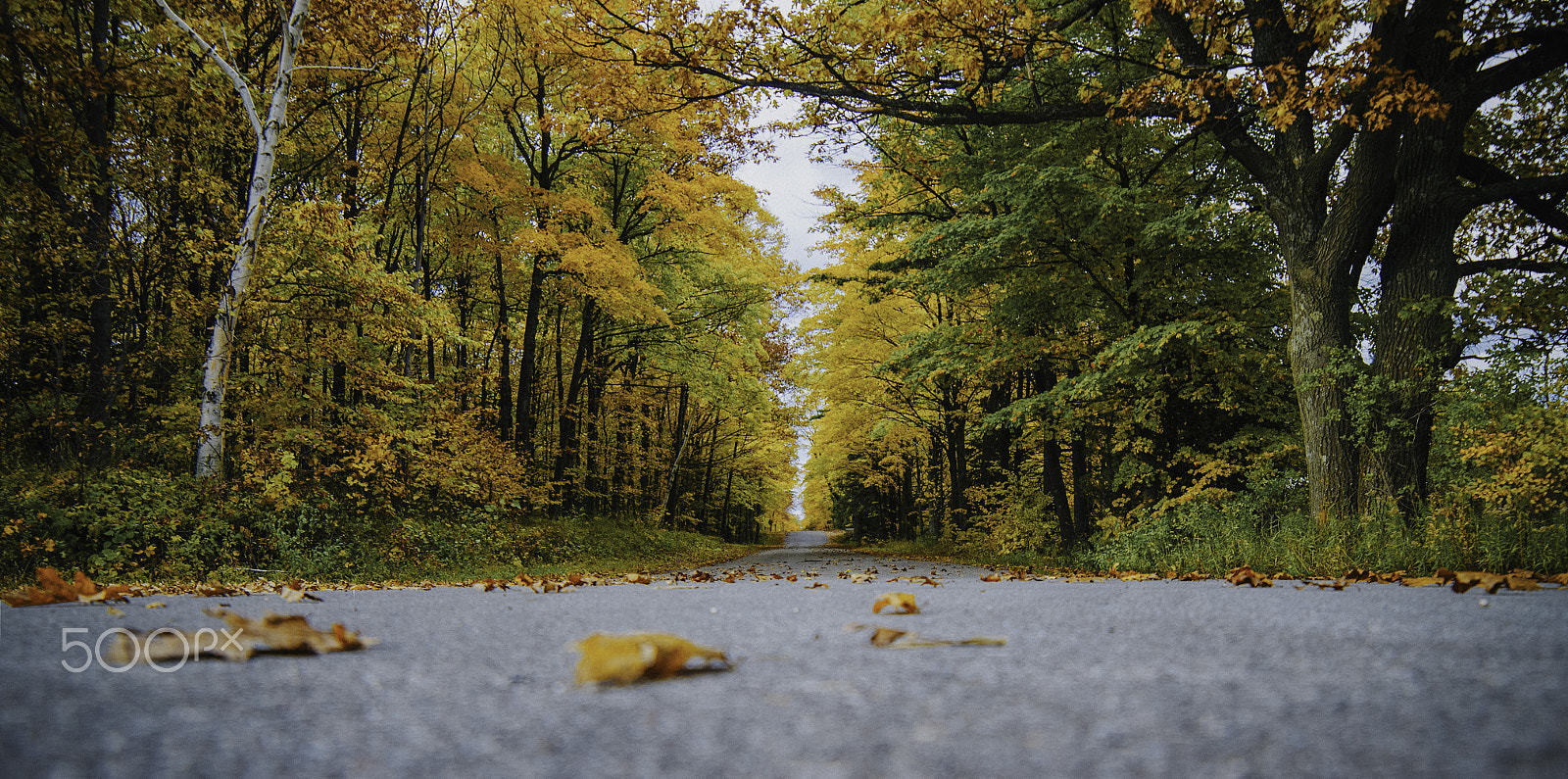 Samyang 14mm F2.8 ED AS IF UMC sample photo. The road less travelled ! photography