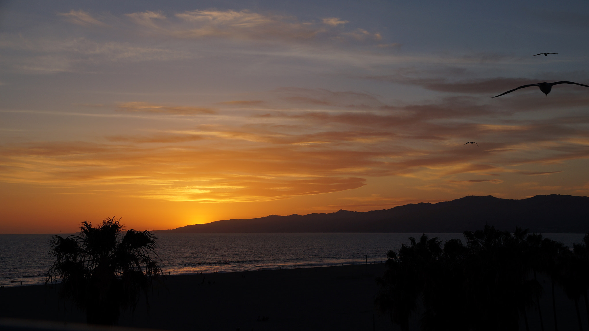 Sony DT 18-135mm F3.5-5.6 SAM sample photo. Venice sunsets photography