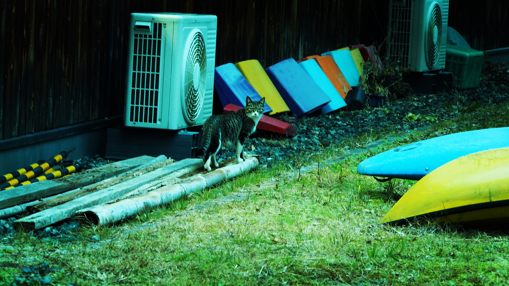 Olympus PEN E-PL6 sample photo