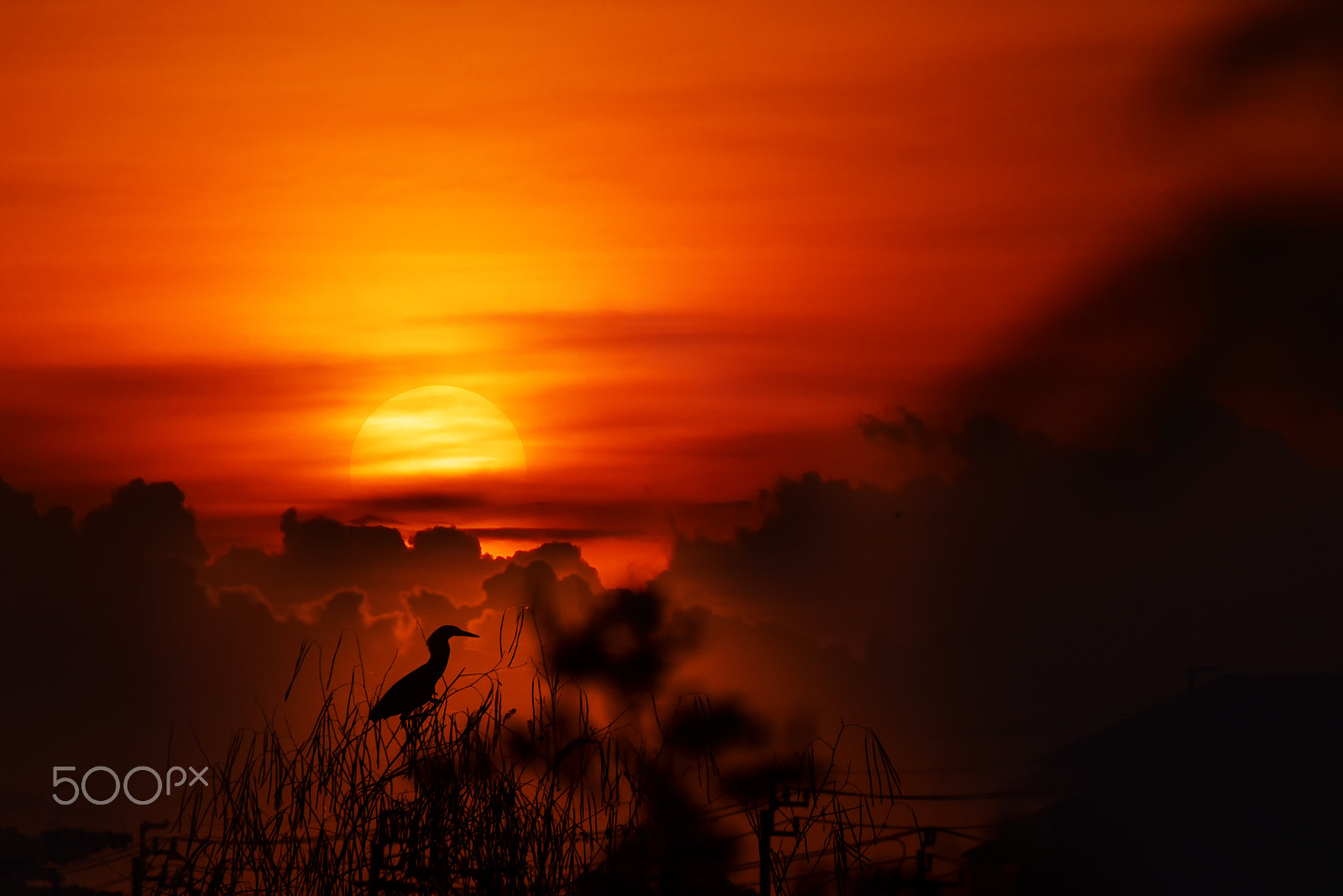 AF Zoom-Nikkor 75-300mm f/4.5-5.6 sample photo. Good morning. photography