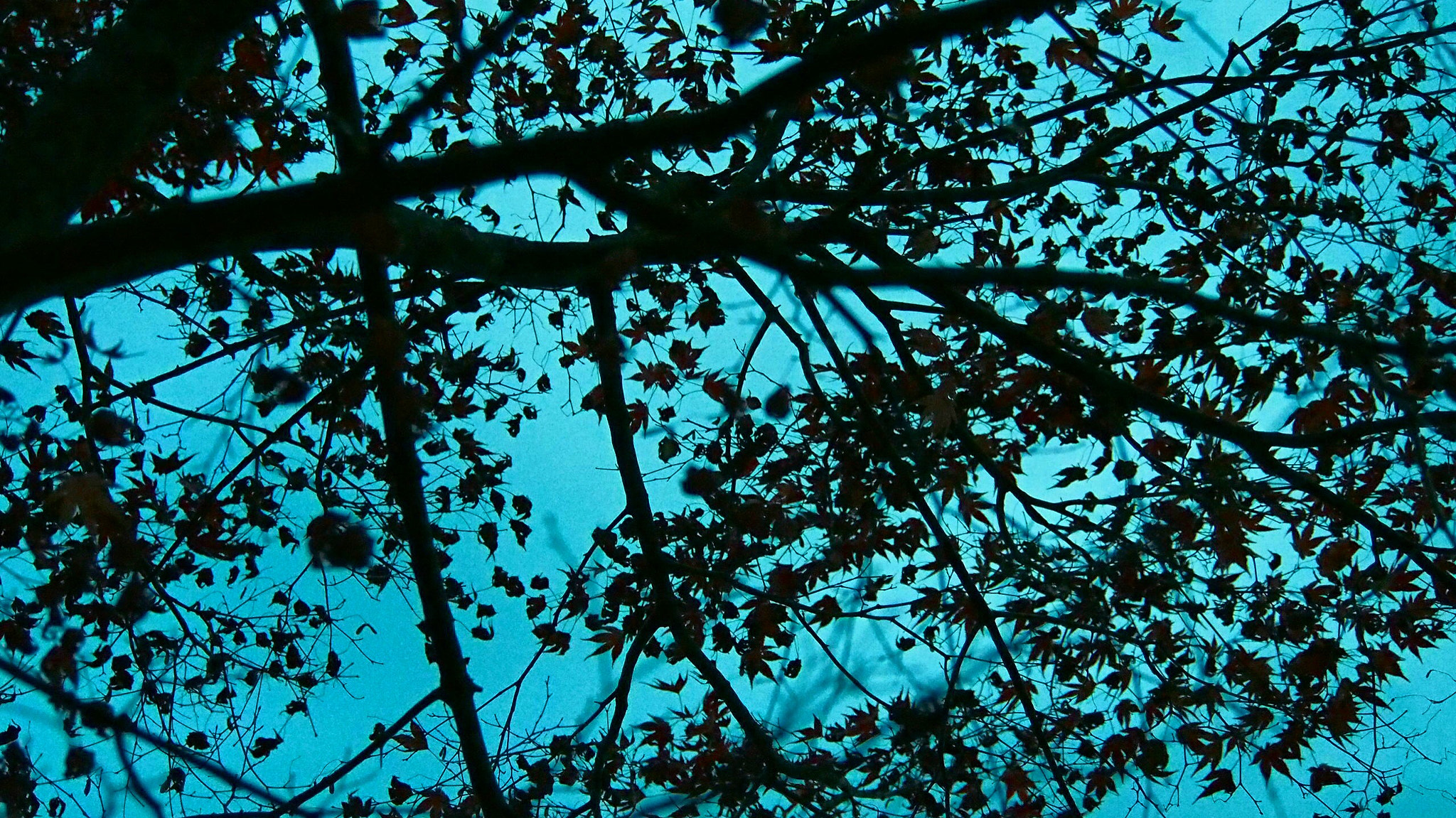 Olympus PEN E-PL6 sample photo