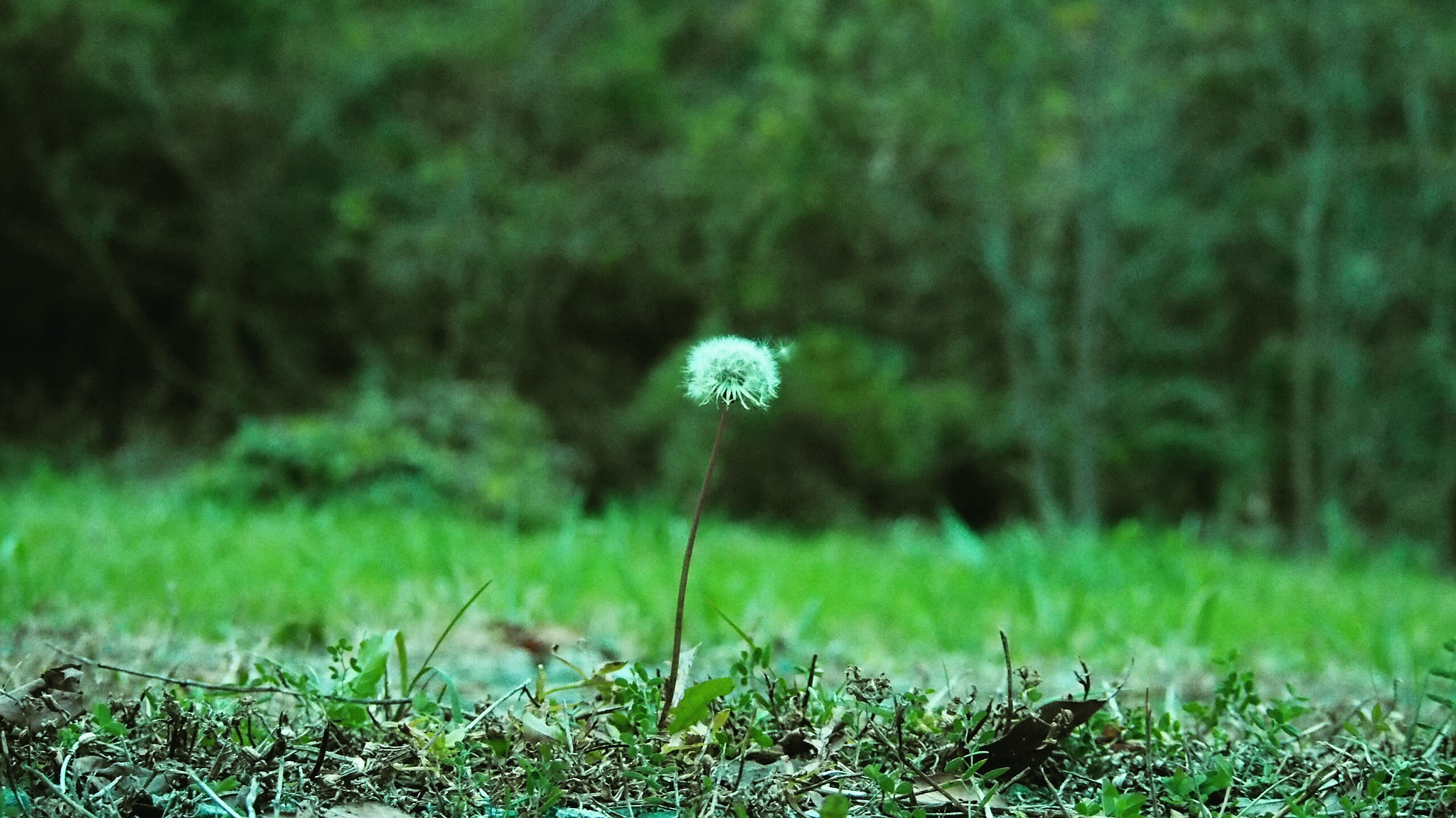 Olympus PEN E-PL6 sample photo