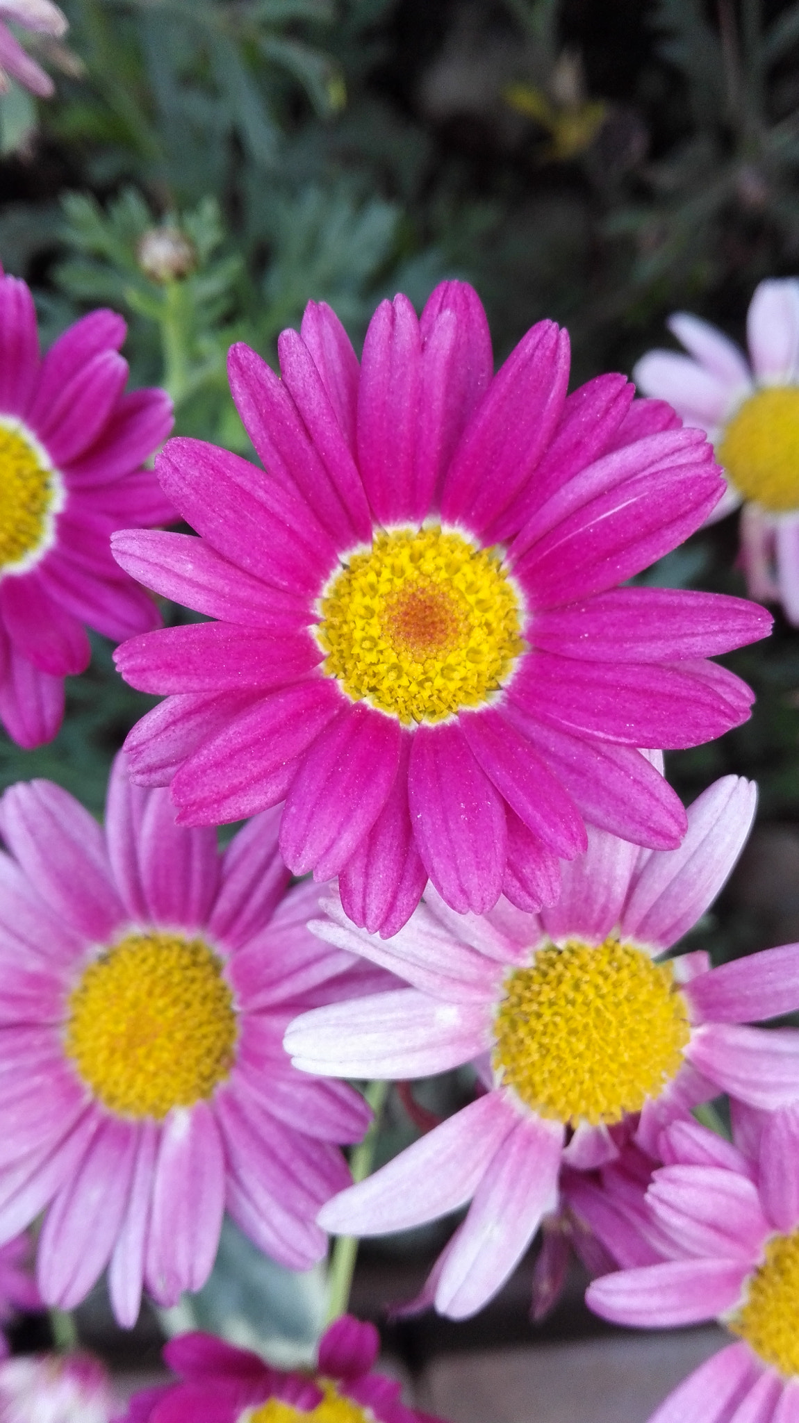 HUAWEI H60-L01 sample photo