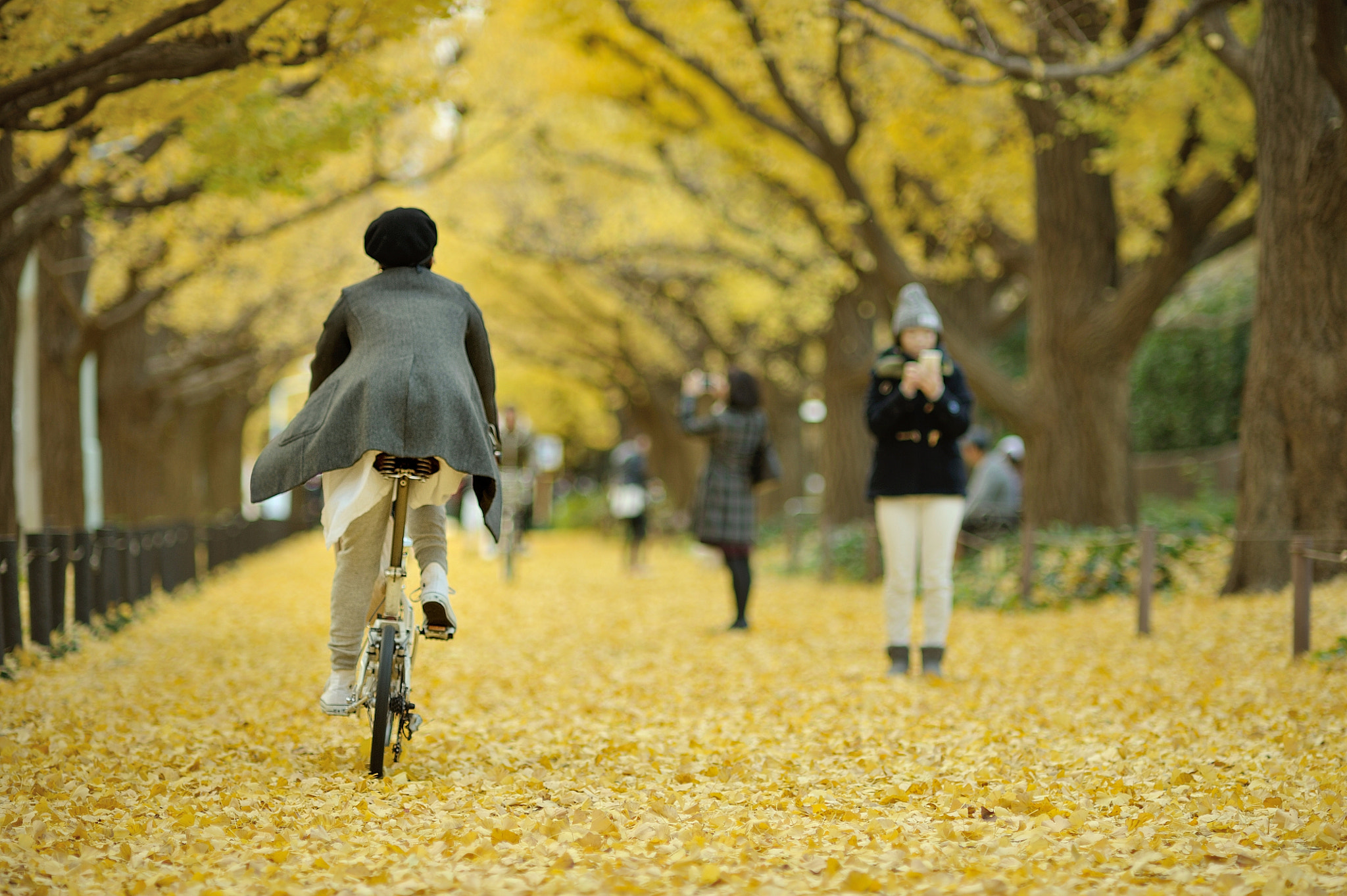 Nikon D700 sample photo. Autumn for tokyoites photography