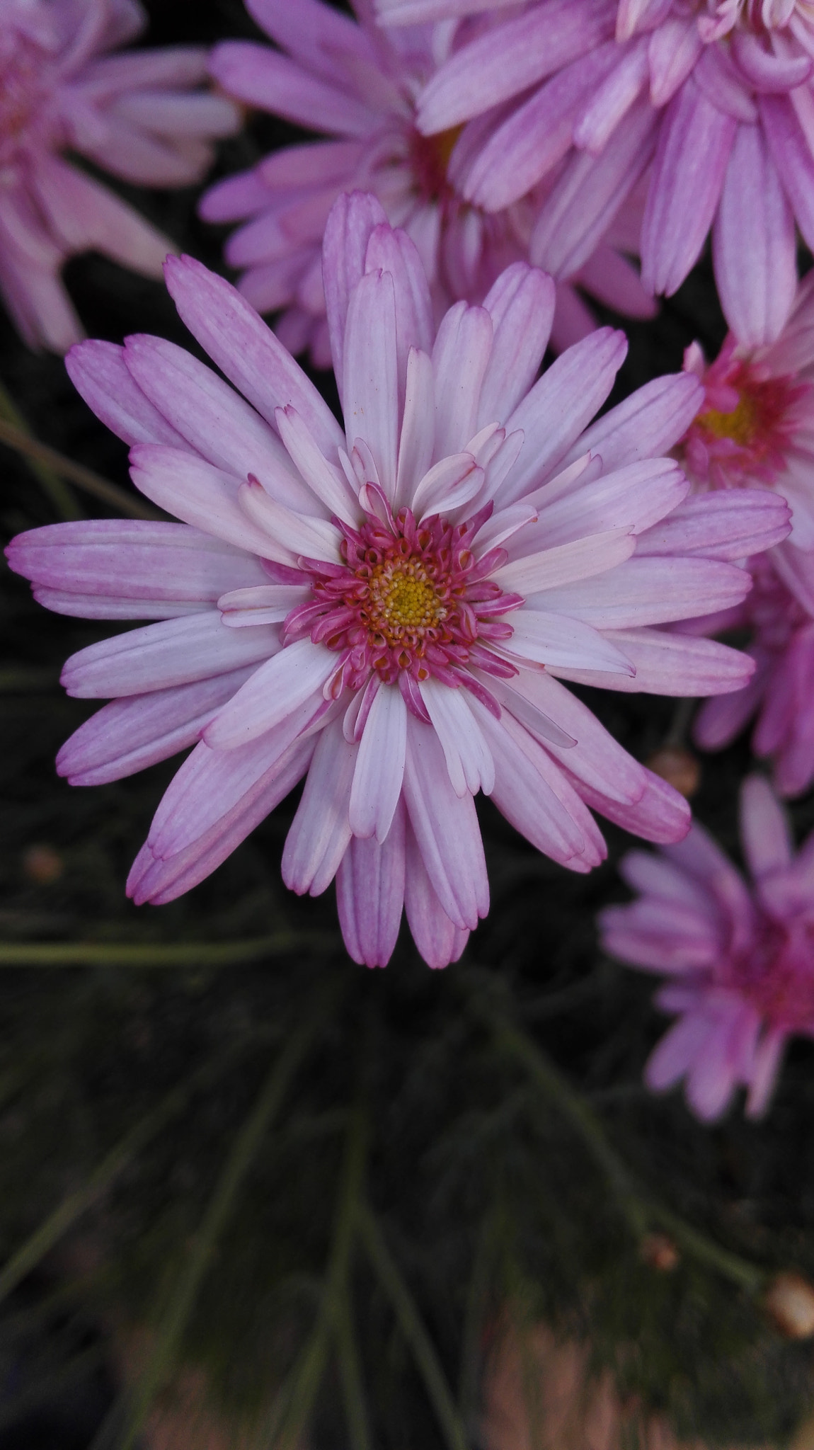 HUAWEI H60-L01 sample photo