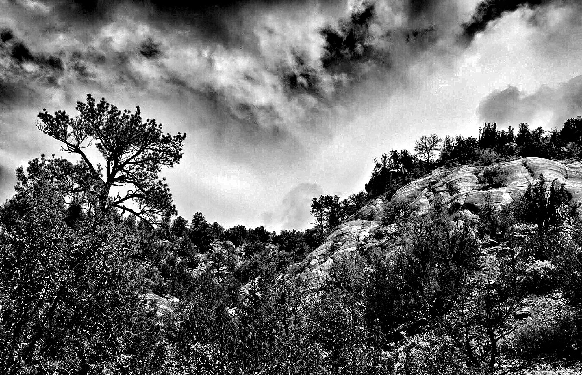 Panasonic Lumix DMC-L1 sample photo. Davis mountains, texas photography