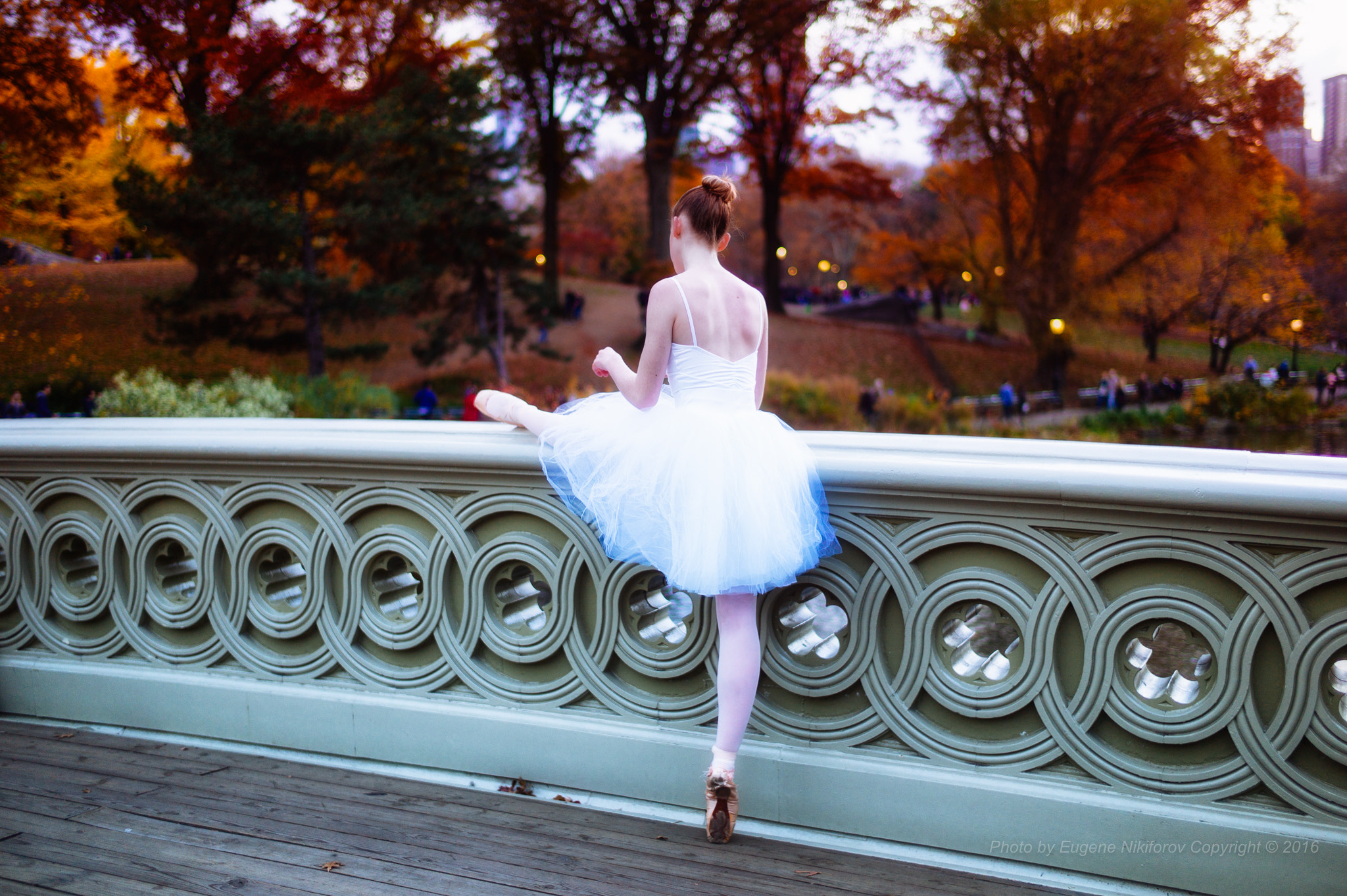 Leica M9 + Leica Summilux-M 35mm F1.4 ASPH sample photo. Fall, central park photography