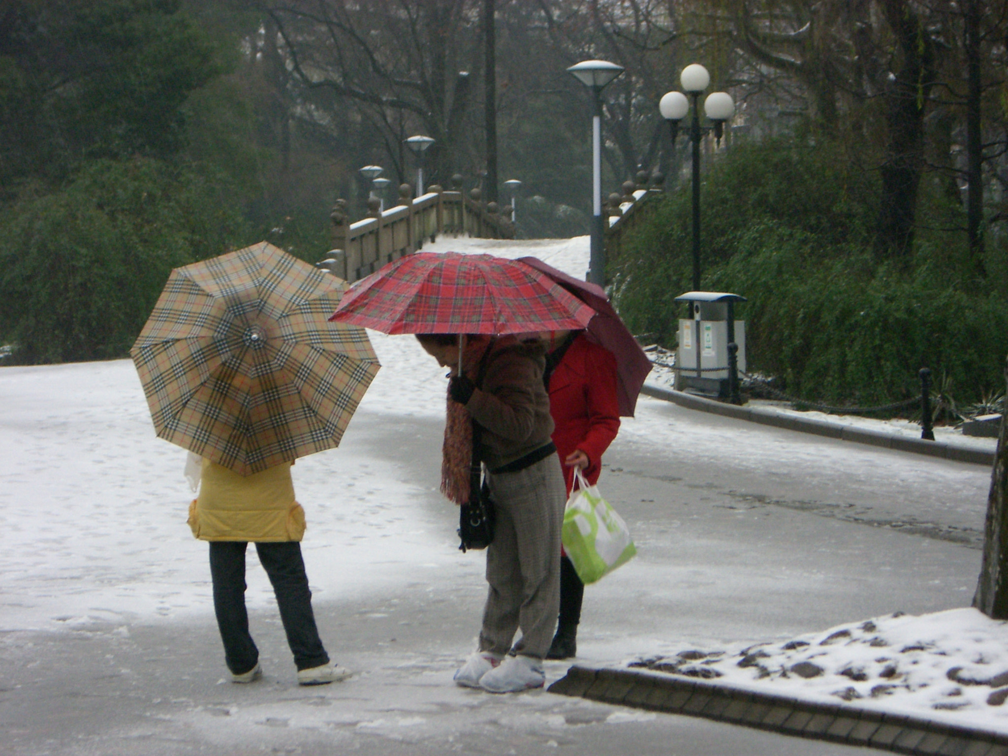 CASIO EX-S600 sample photo. Shanghai snow photography