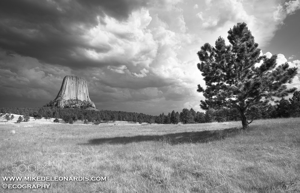 Nikon D800 + Nikon AF Nikkor 20mm F2.8D sample photo. Devils tower photography
