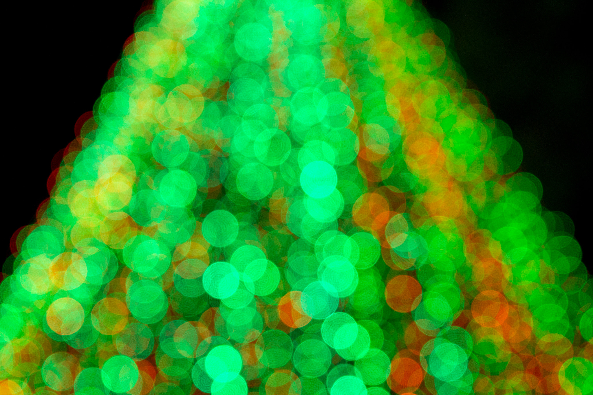 Canon EOS 650D (EOS Rebel T4i / EOS Kiss X6i) sample photo. Bokeh tree photography