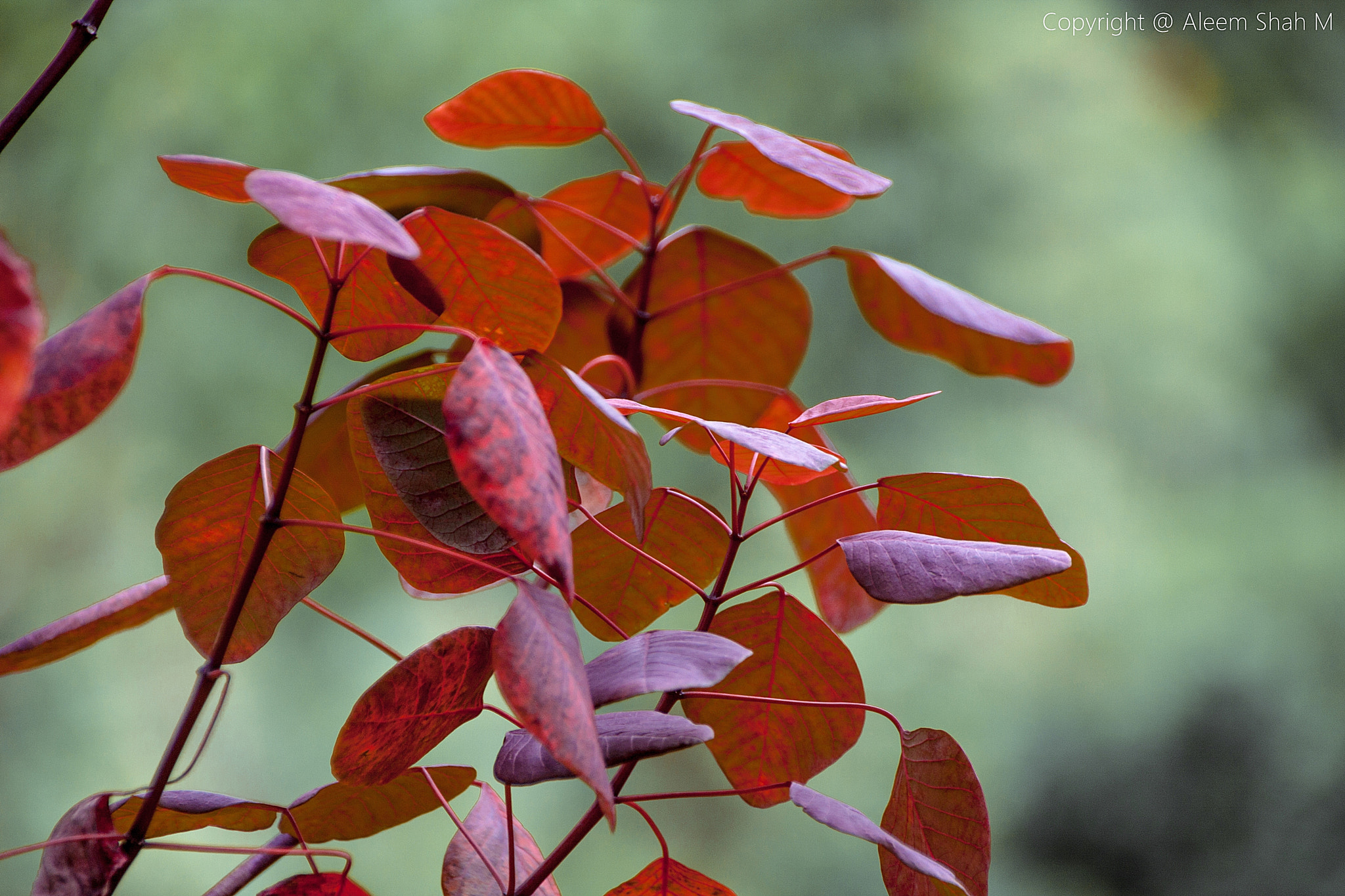 Canon EOS 40D sample photo. Tranquil photography