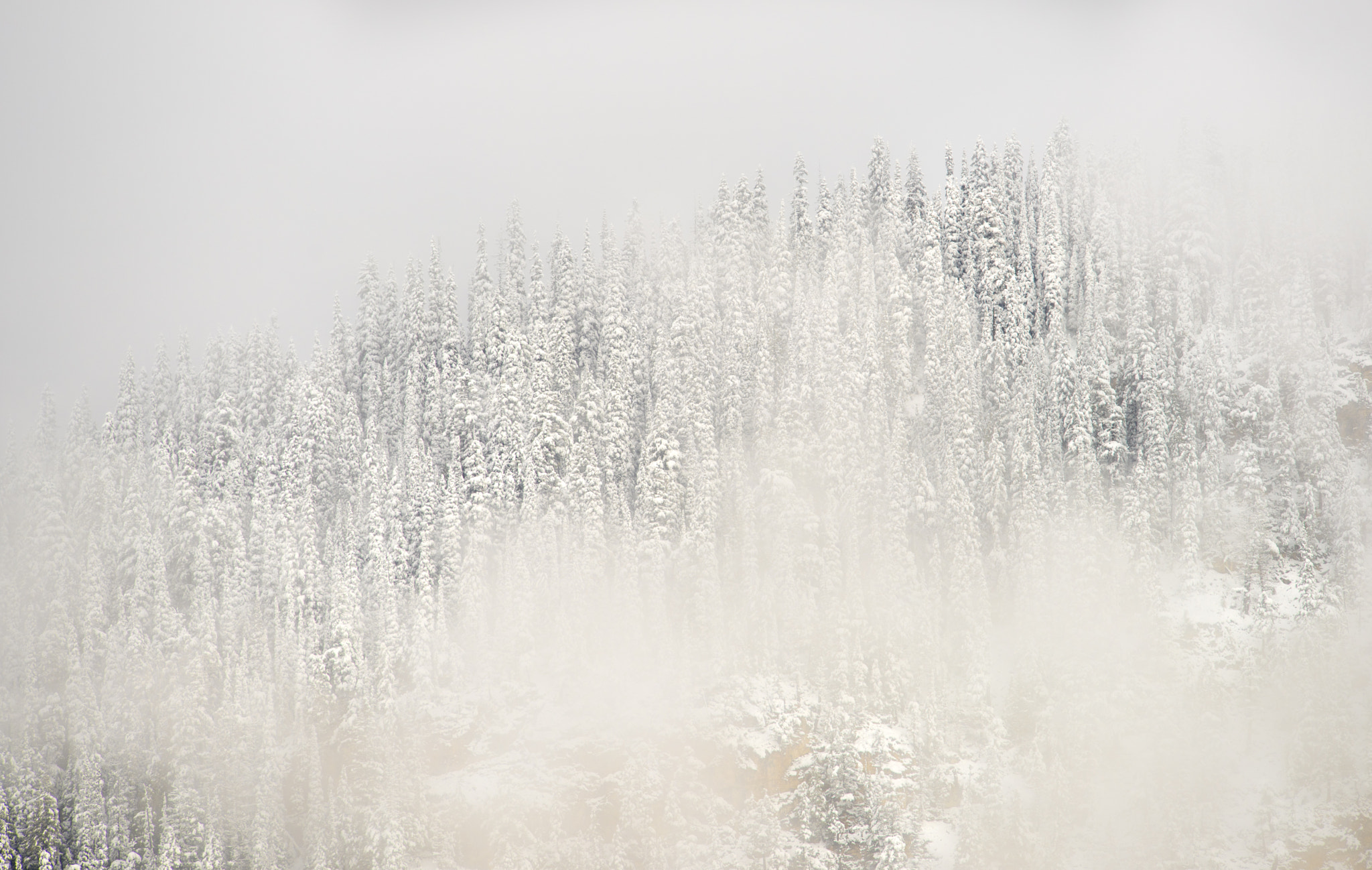 Nikon Nikkor AF-S 300mm F4E PF ED VR sample photo. Winter's veil photography