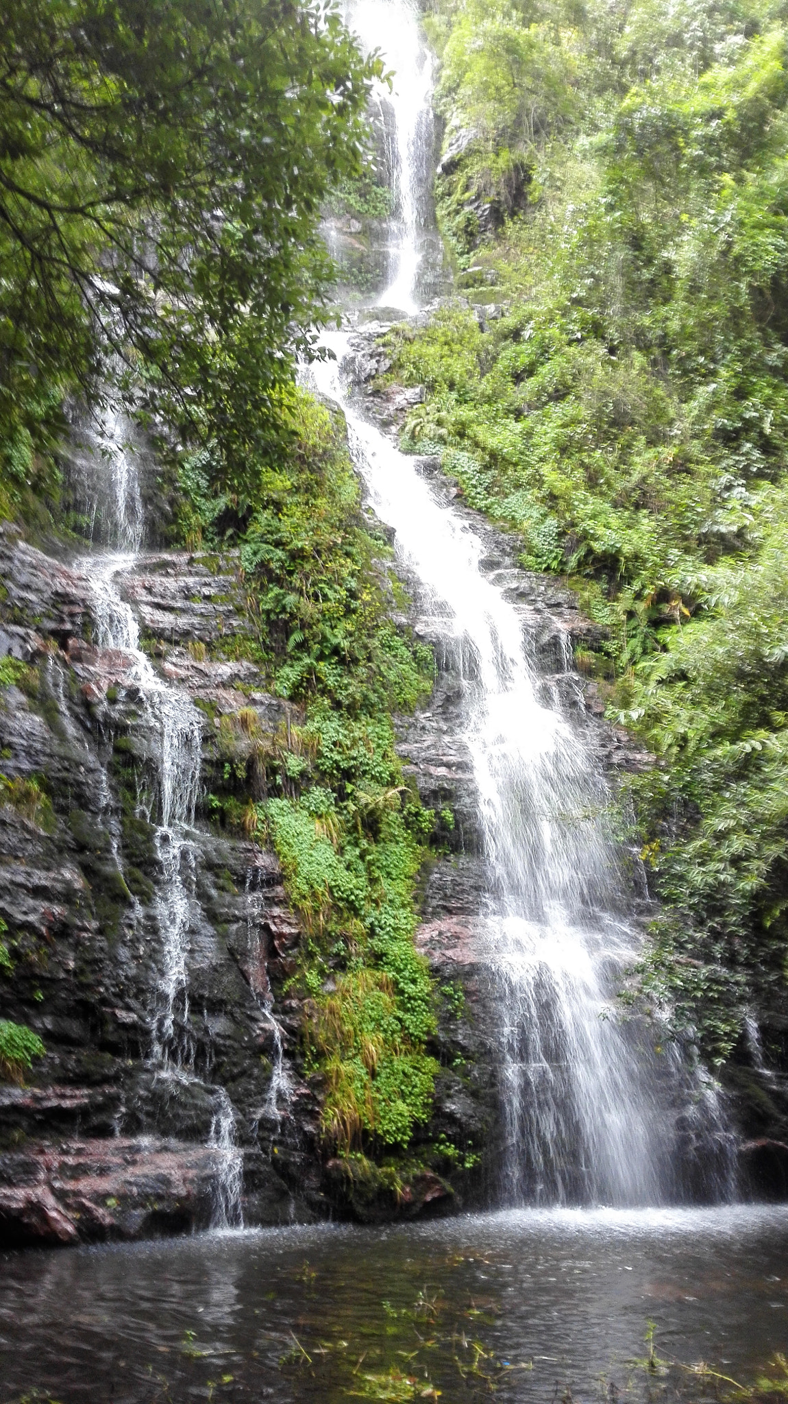 HUAWEI H60-L01 sample photo