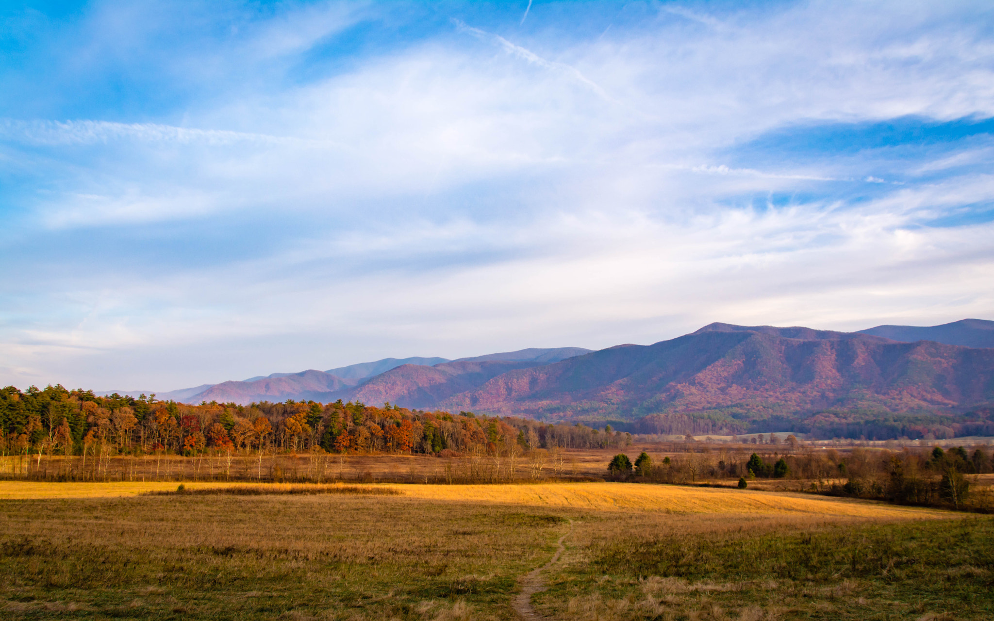 Sigma 18-250mm F3.5-6.3 DC Macro OS HSM sample photo. Fall colors at cades cove photography