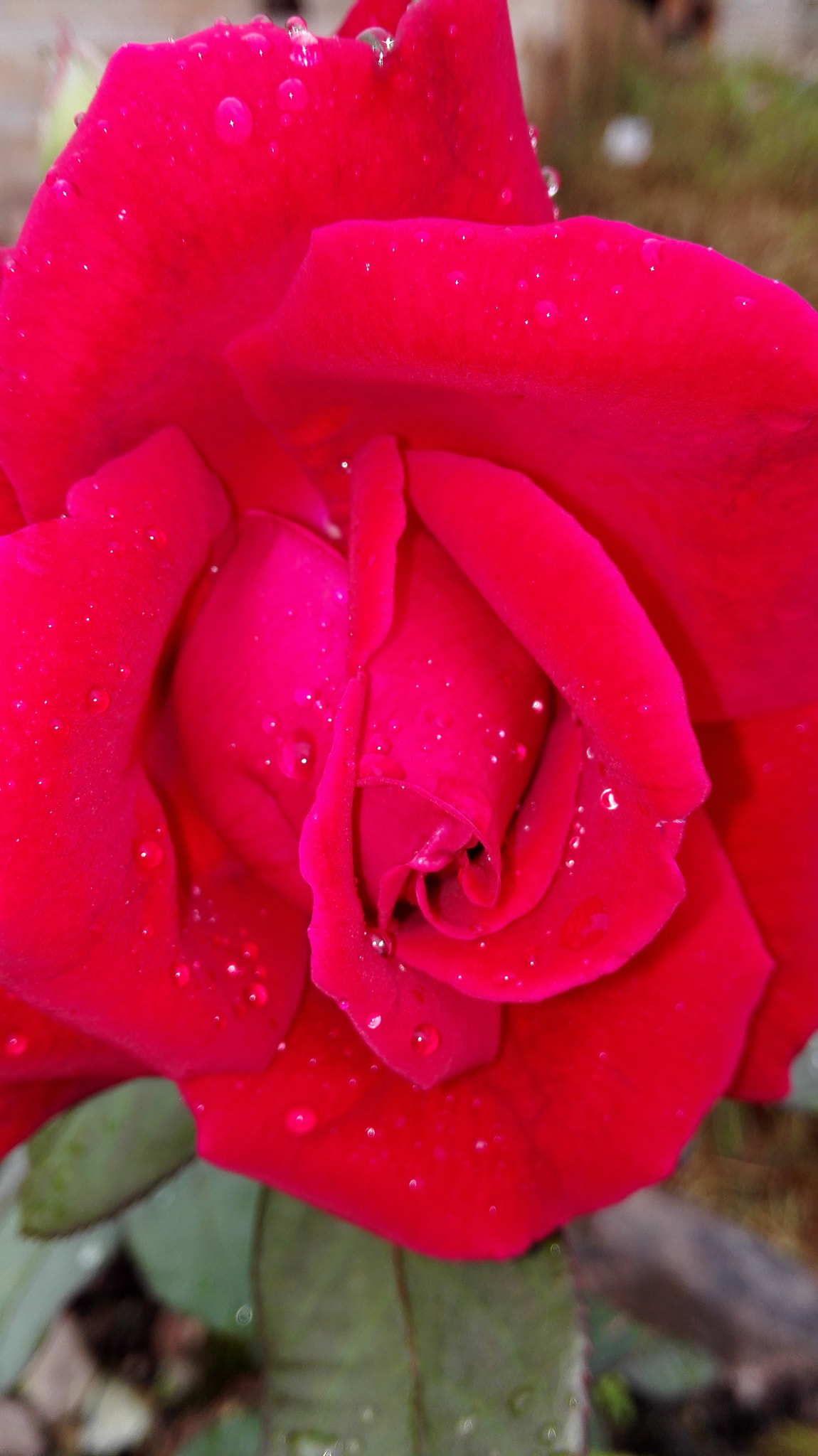 HUAWEI H60-L01 sample photo